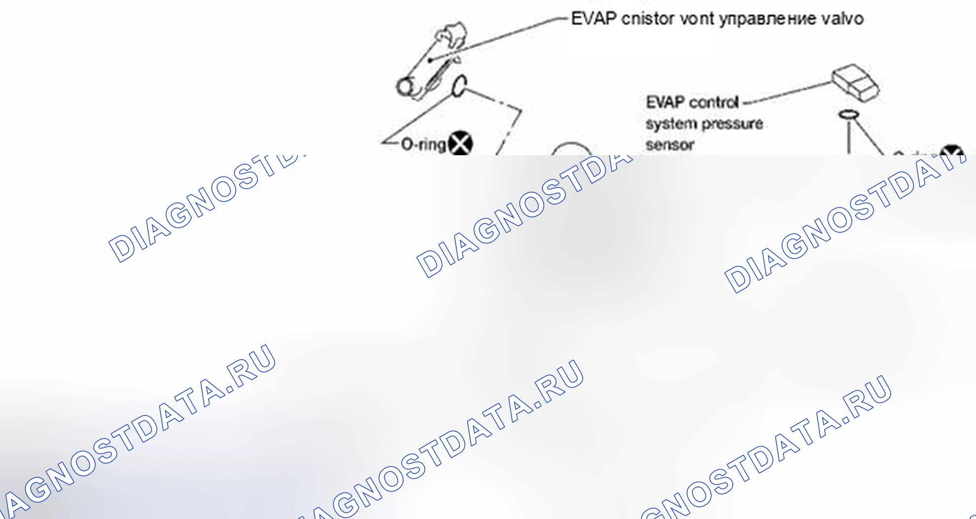 Рис. 16: КАНИСТРА EVAP. Suzuki Equator I