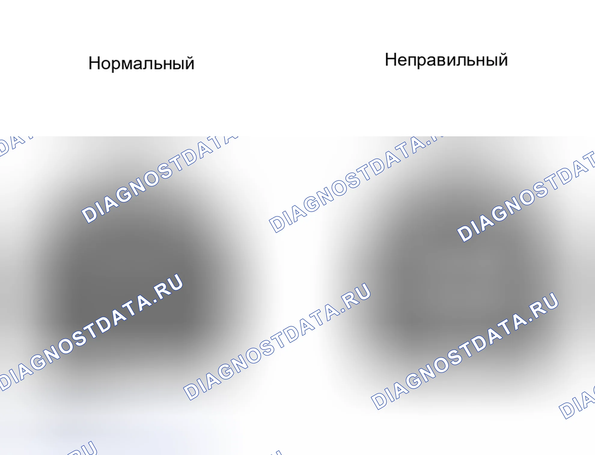 Рис. 6. Haval H5 I