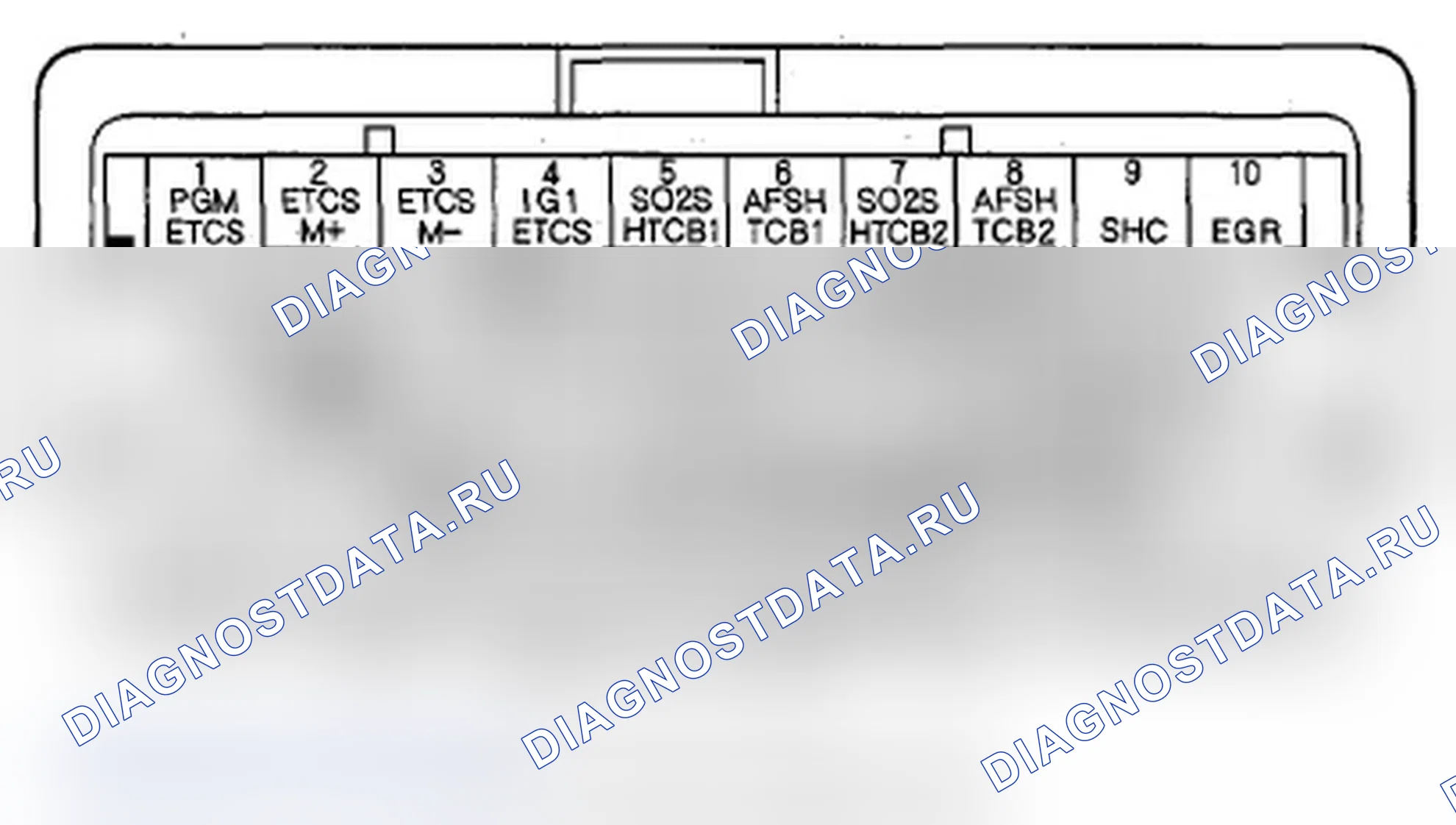 Рис. 217: Входы и выходы ИКМ разъема C (o) (49P). Acura MDX II рестайлинг