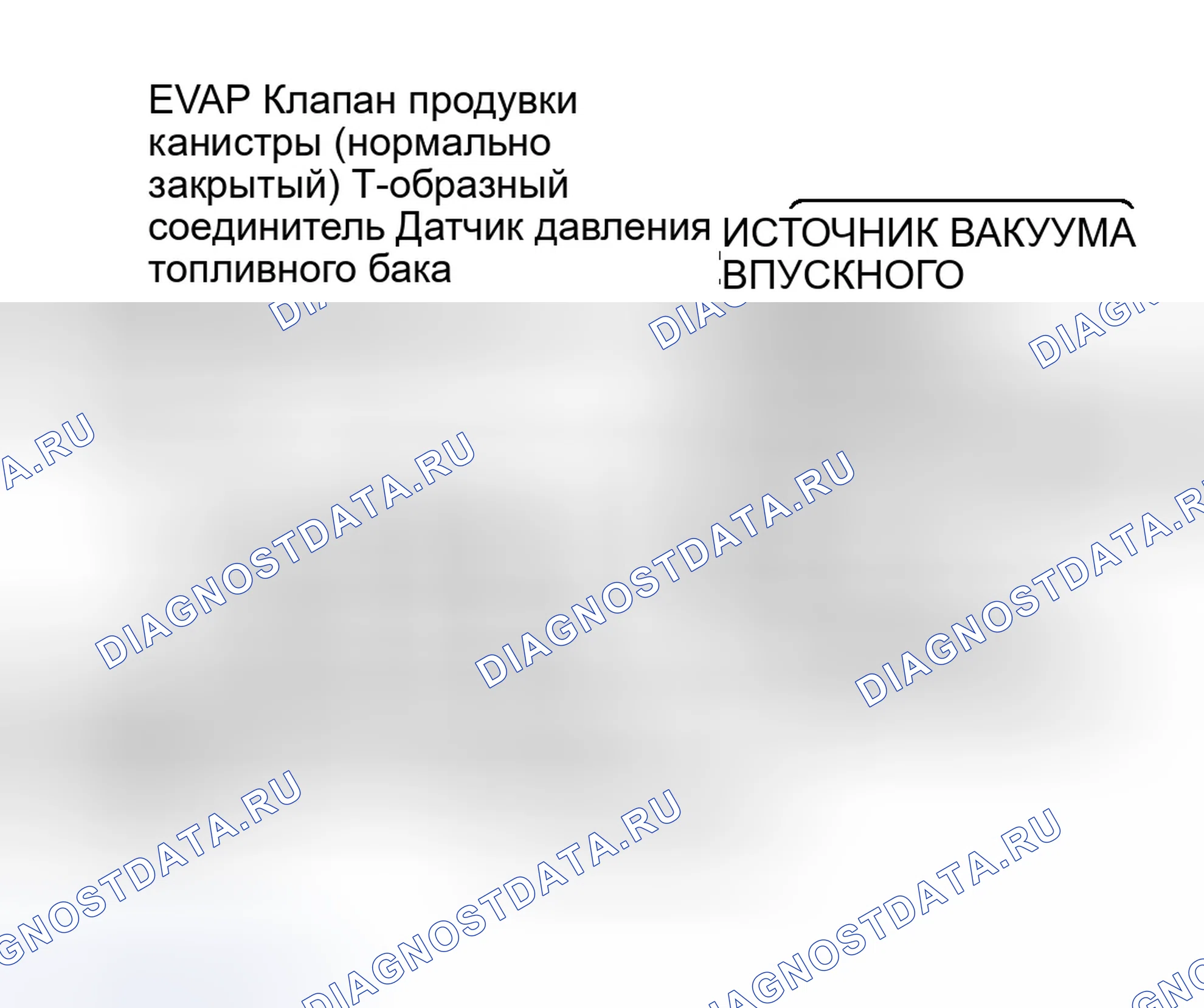 Рис. 17: Идентификация компонентов системы EVAP. Ford Escort ZX2 