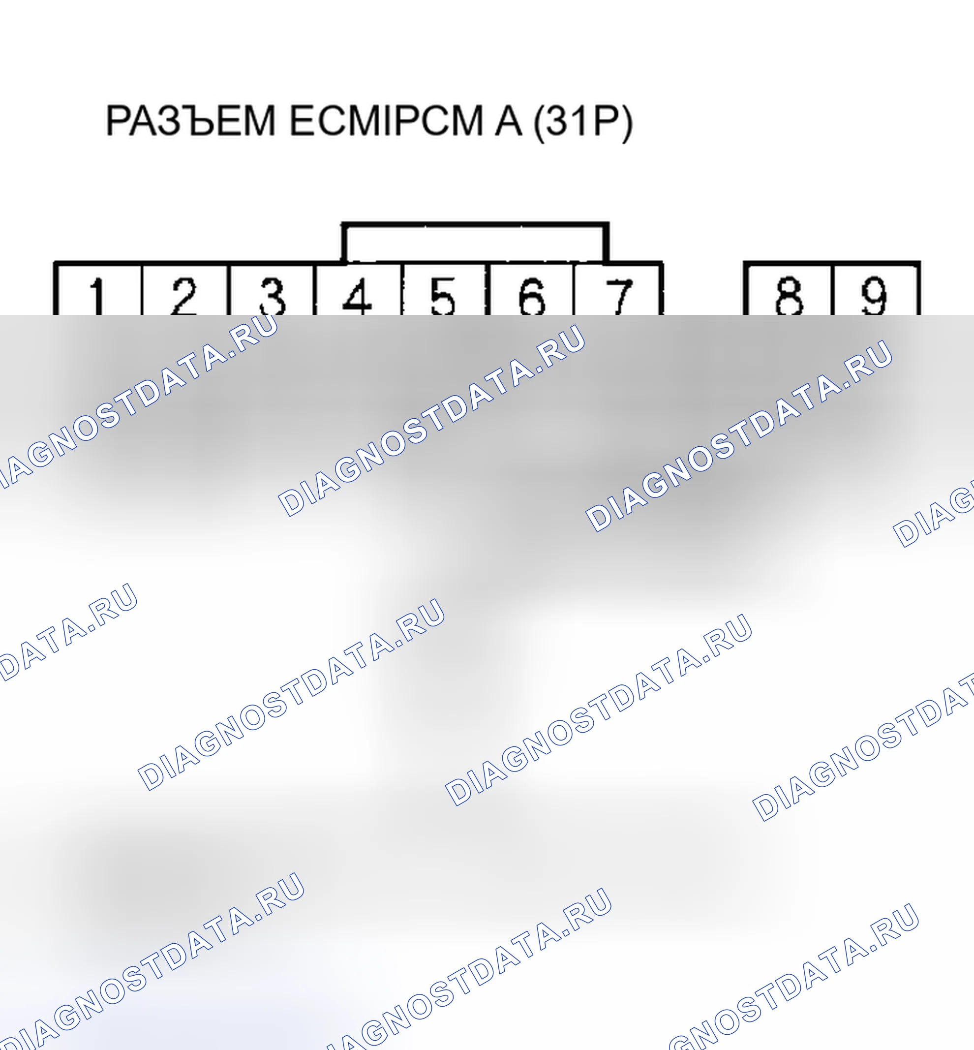 Рис. 244. Acura RSX I