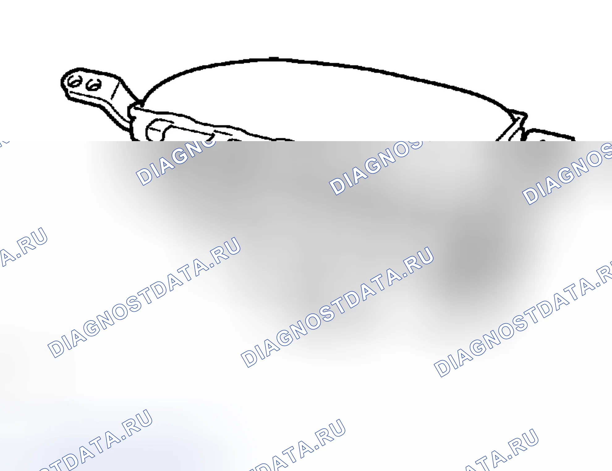 Рис. 412. Lexus RX II