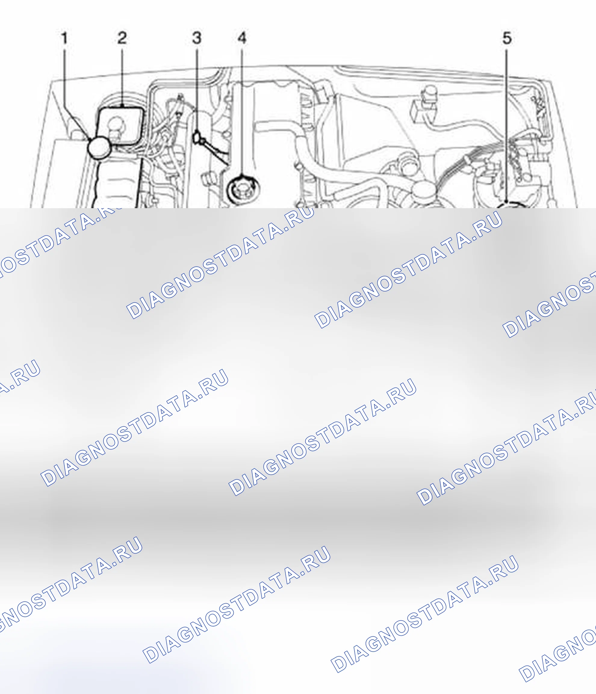 Рис. 2: Вид дизеля под капотом. Land Rover Discovery L318