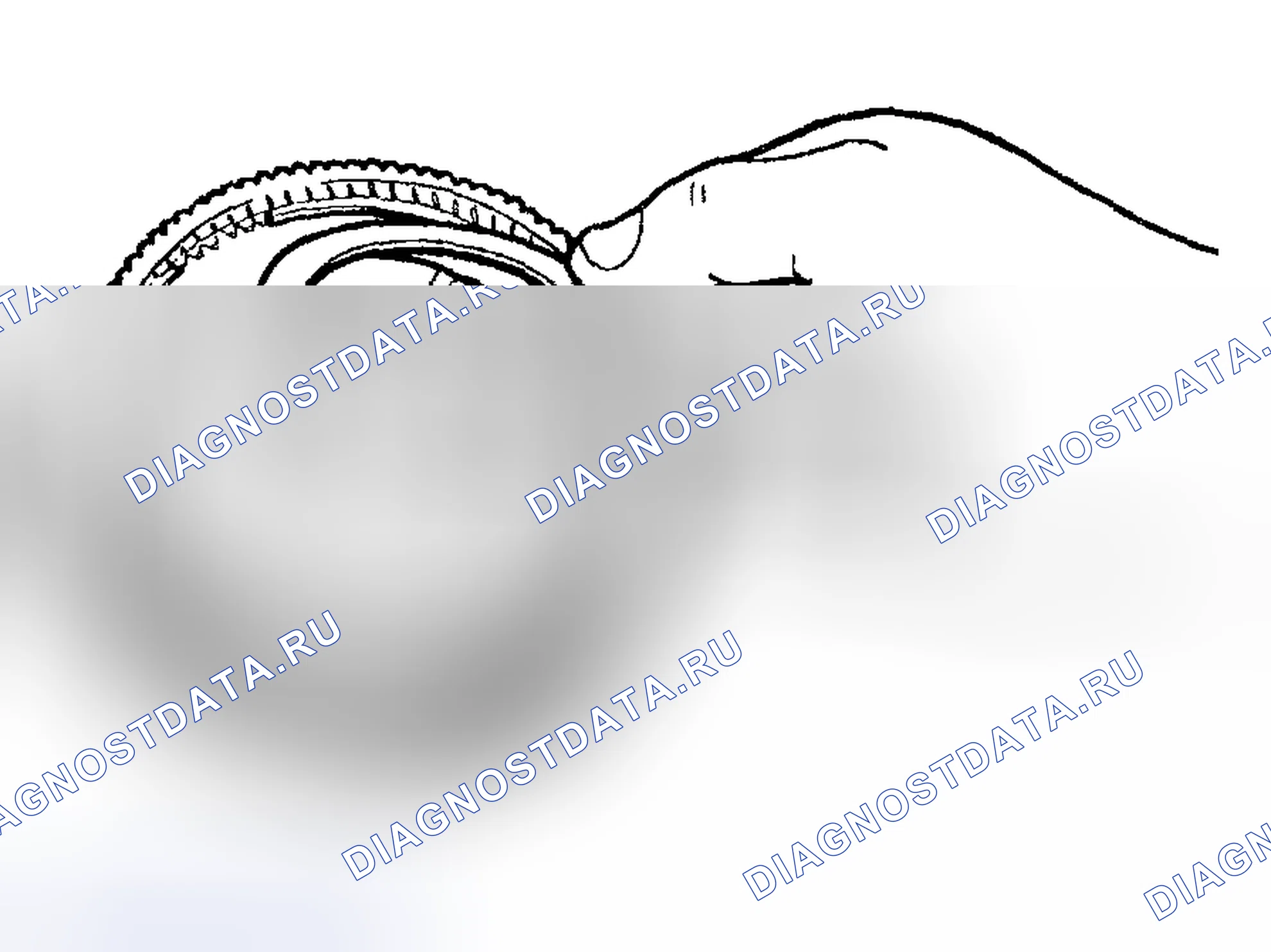 Рис. 1304: Разборка. Ford Pickup F250 Super Duty I