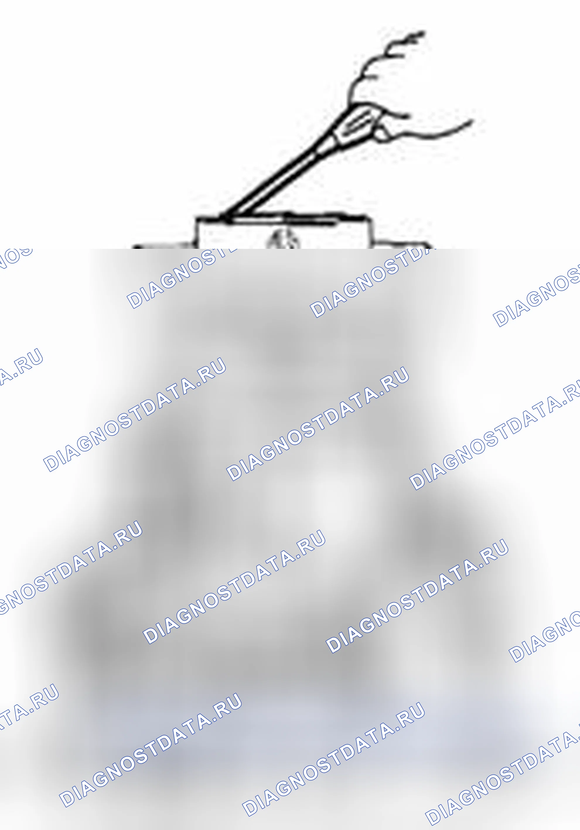 Рис. 28. Suzuki Equator I