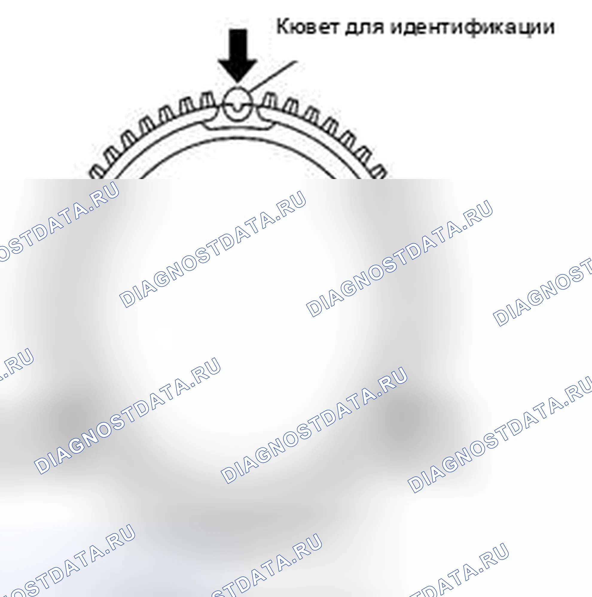 Рис. 144. Suzuki Equator I