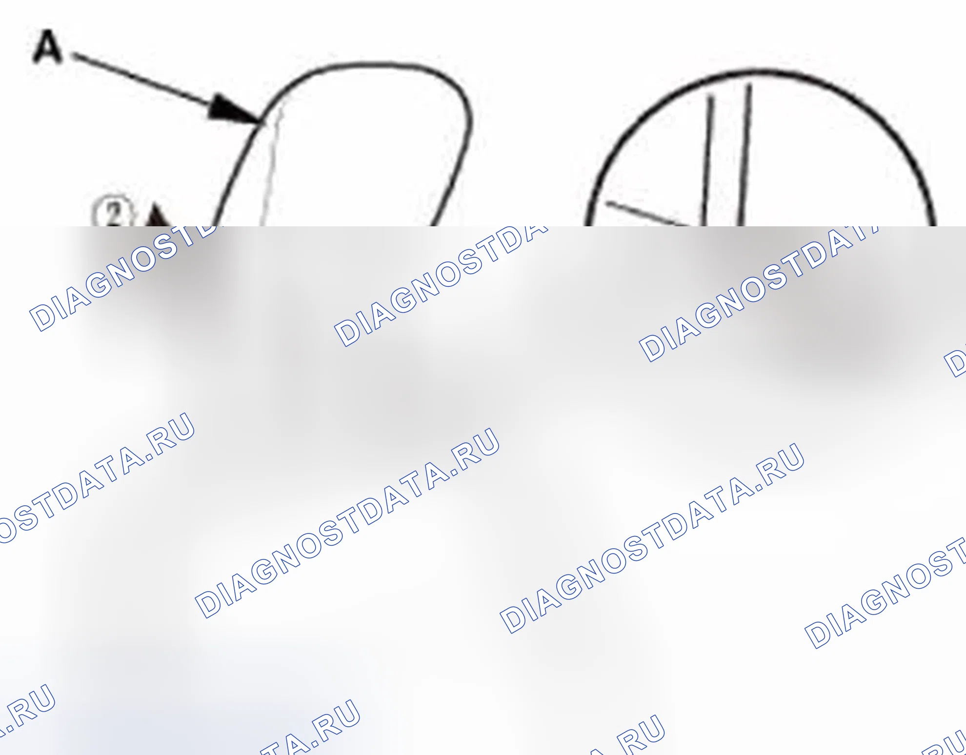 Рис. 255. Honda Civic IX
