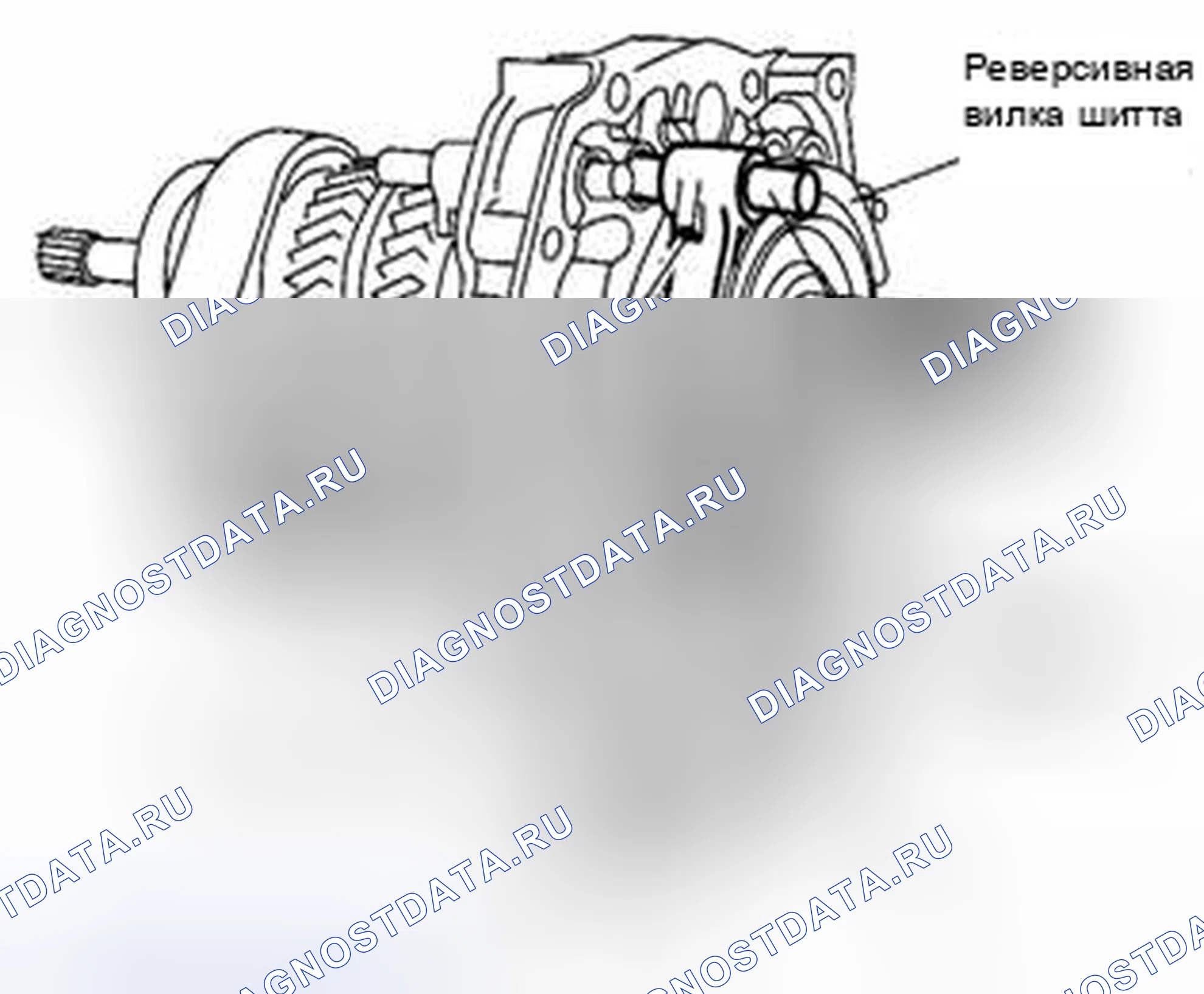 Рис. 155. Suzuki Equator I