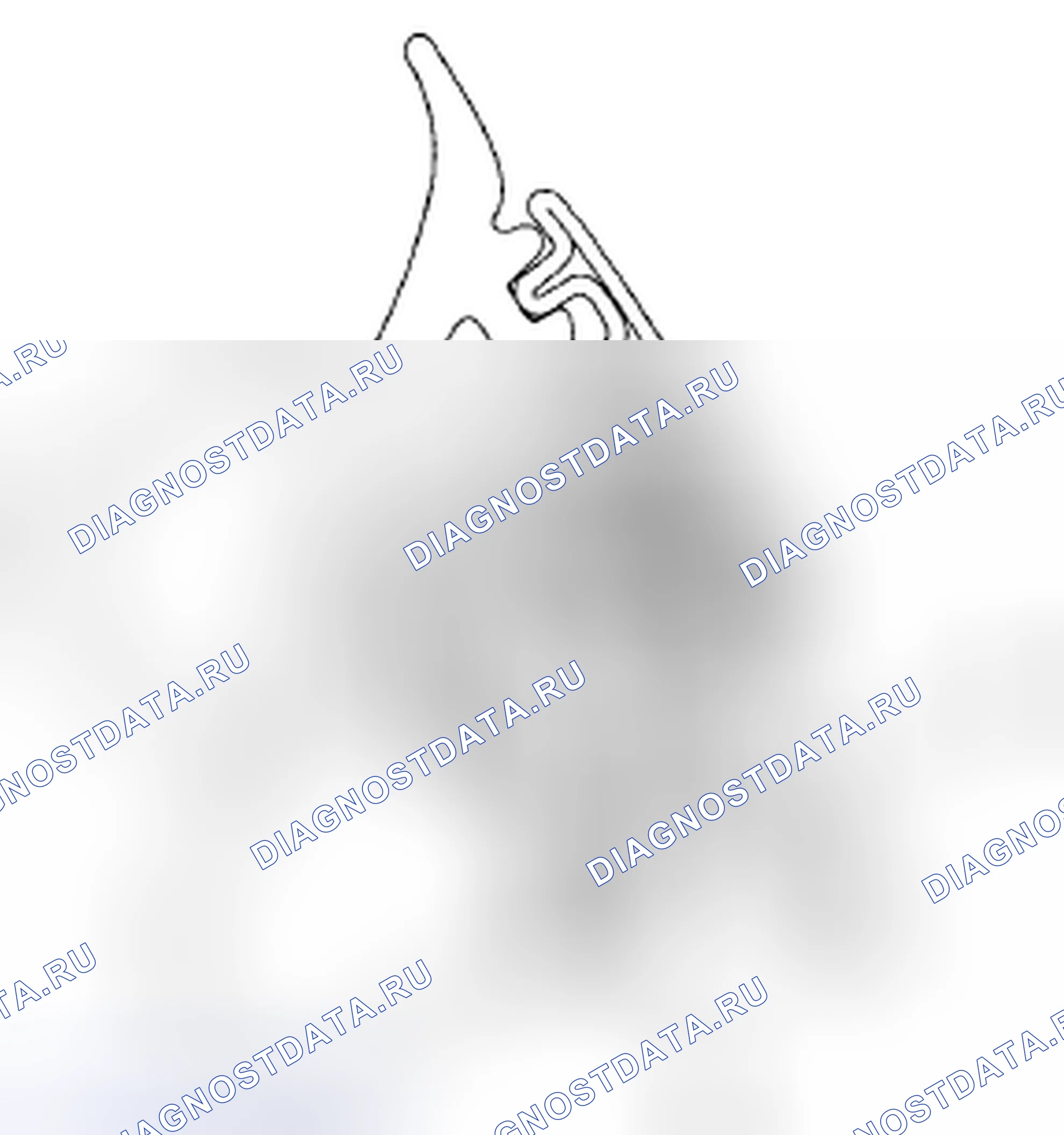 Рис. 29. Acura CSX I