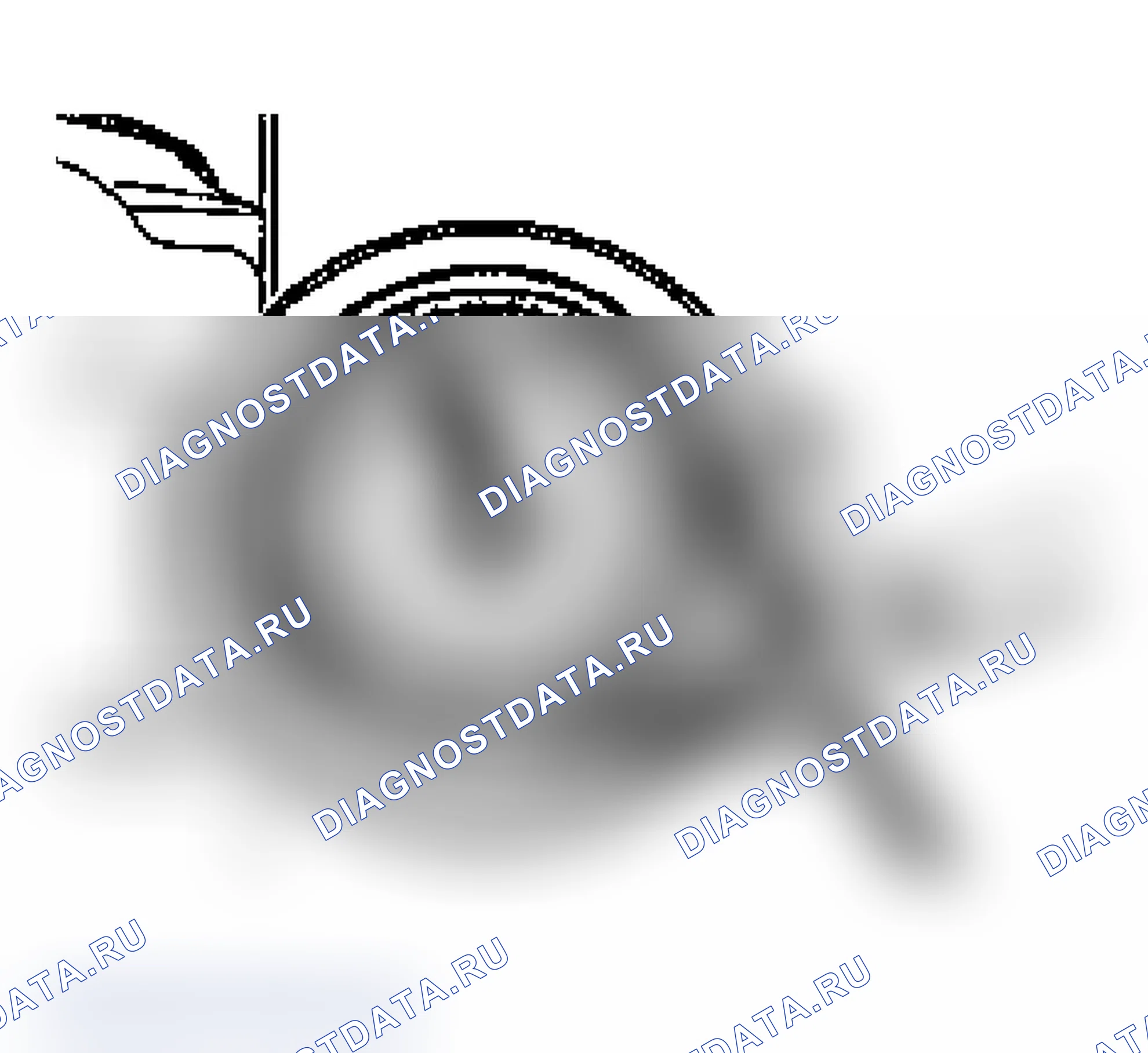 Рис. 40: Демонтаж. Porsche Boxster S 986