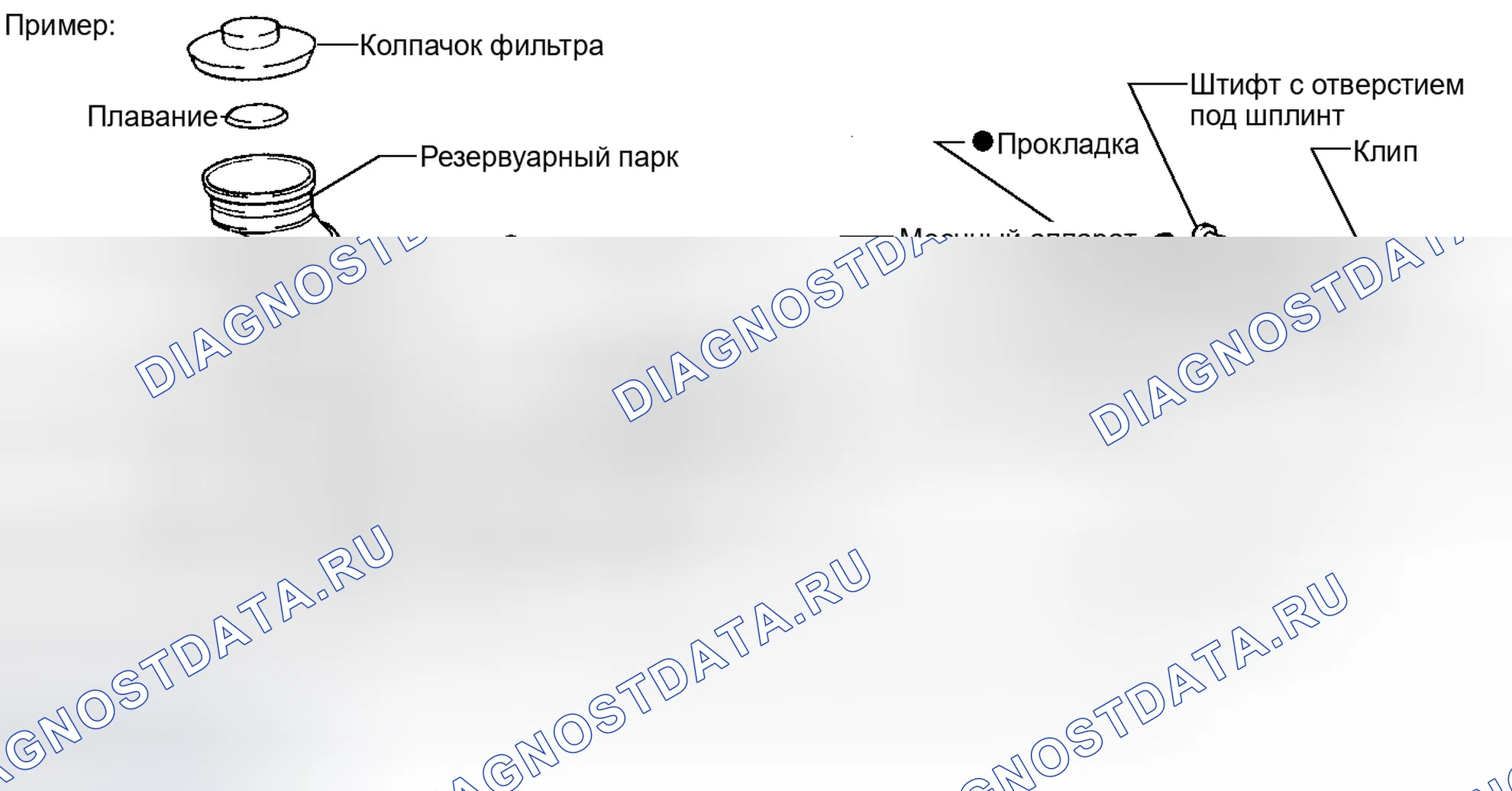 Рис. 1: ОБЩИЕ СВЕДЕНИЯ. Toyota Sienna III