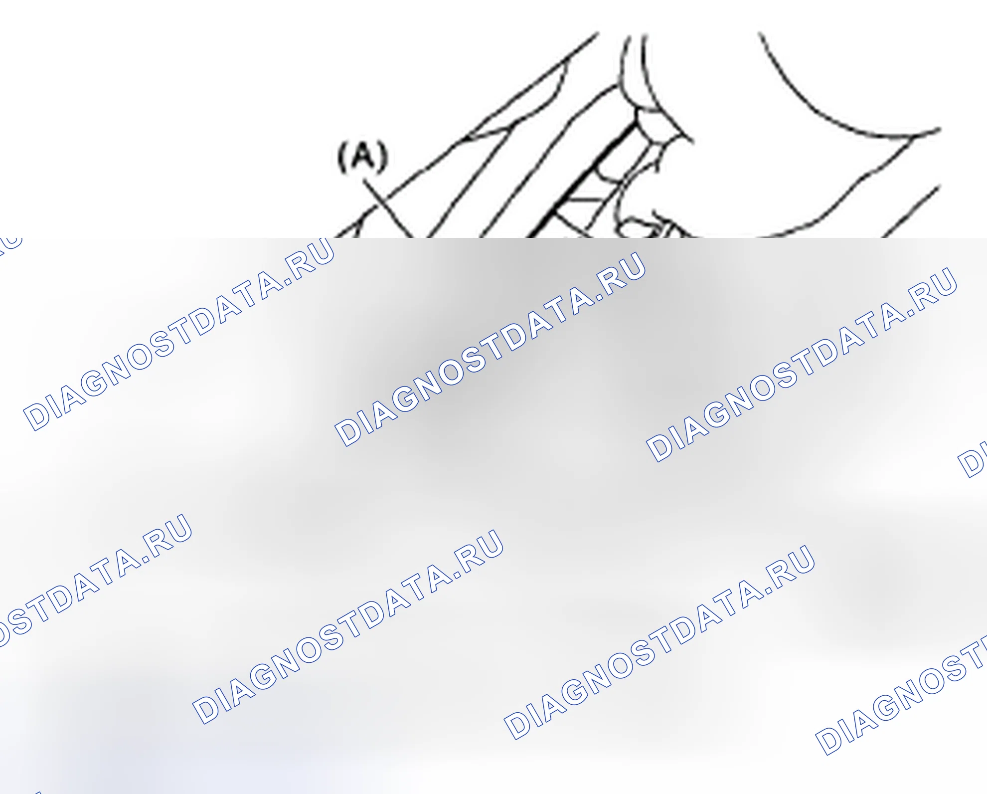 Рис. 407. Subaru Legacy BL/BP рестайлинг