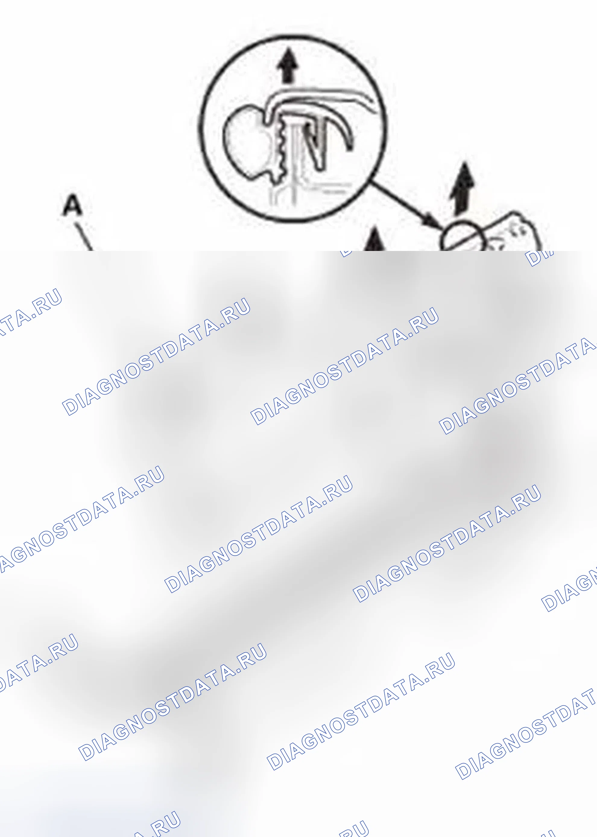 Рис. 1276. Honda Civic IX