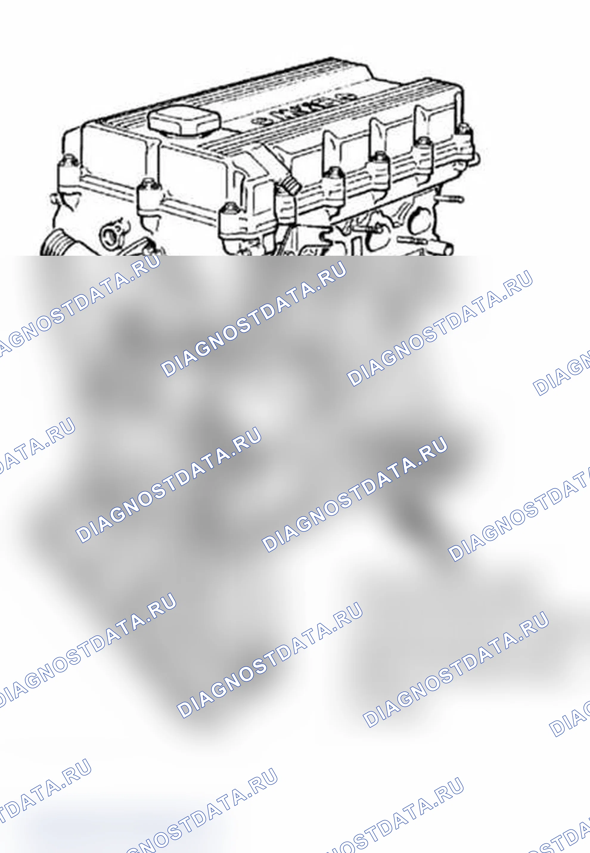 Рис. 250: Расположение табличек со спецификациями двигателя. BMW X5 E53