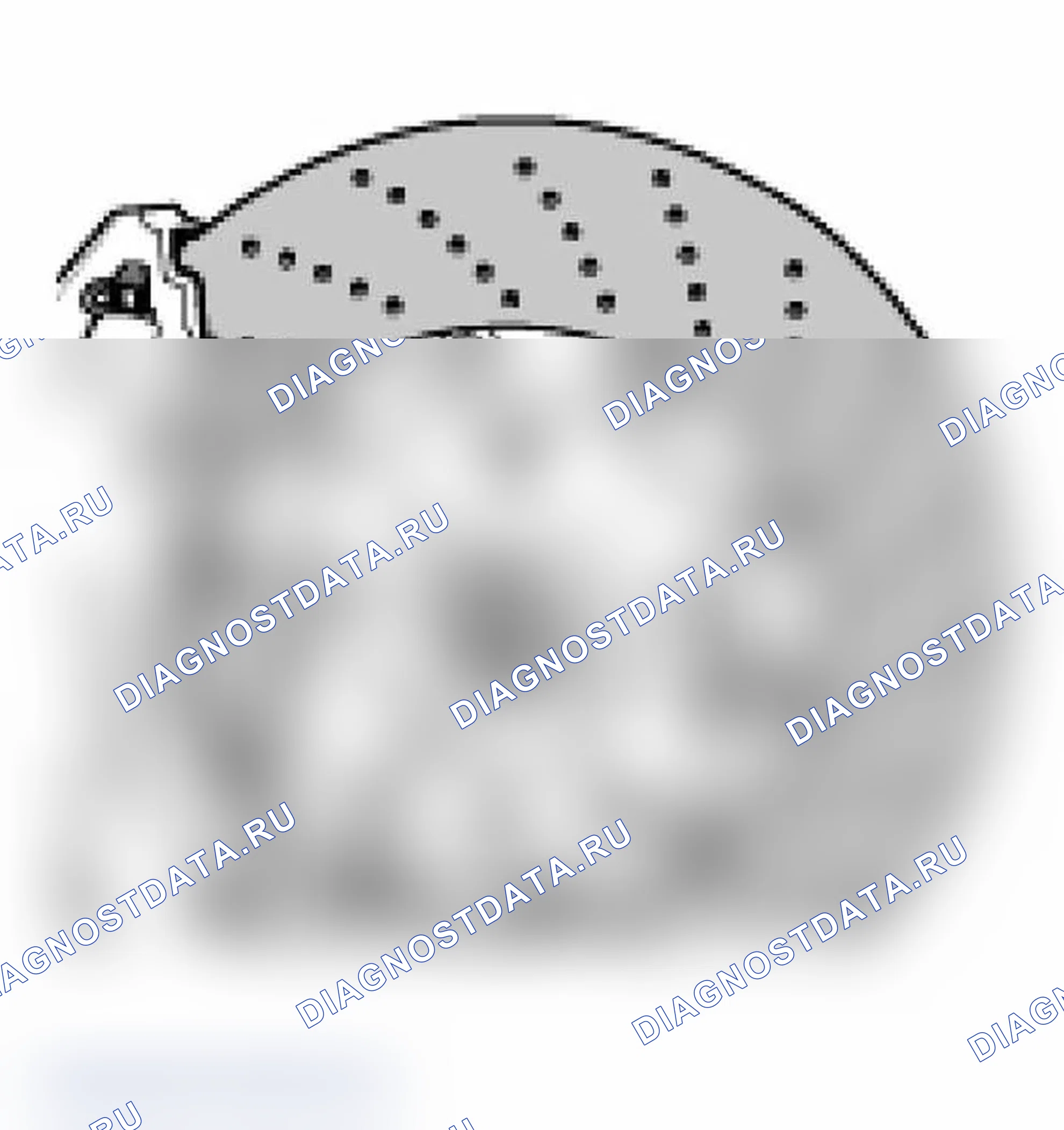 Рис. 15. Porsche 911 Carrera 996 рестайлинг