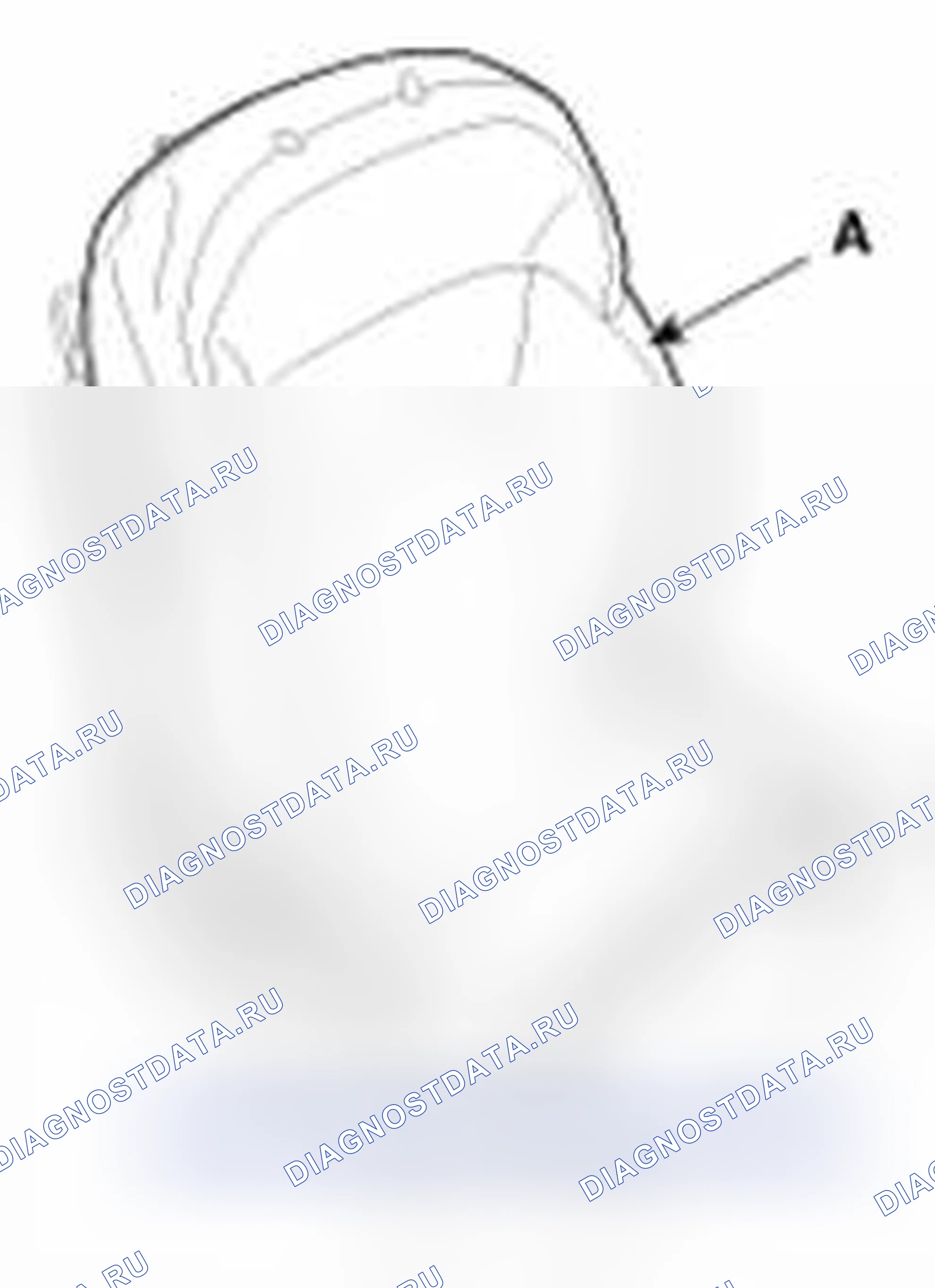 Рис. 14. Haval Beast (Shenshou) I