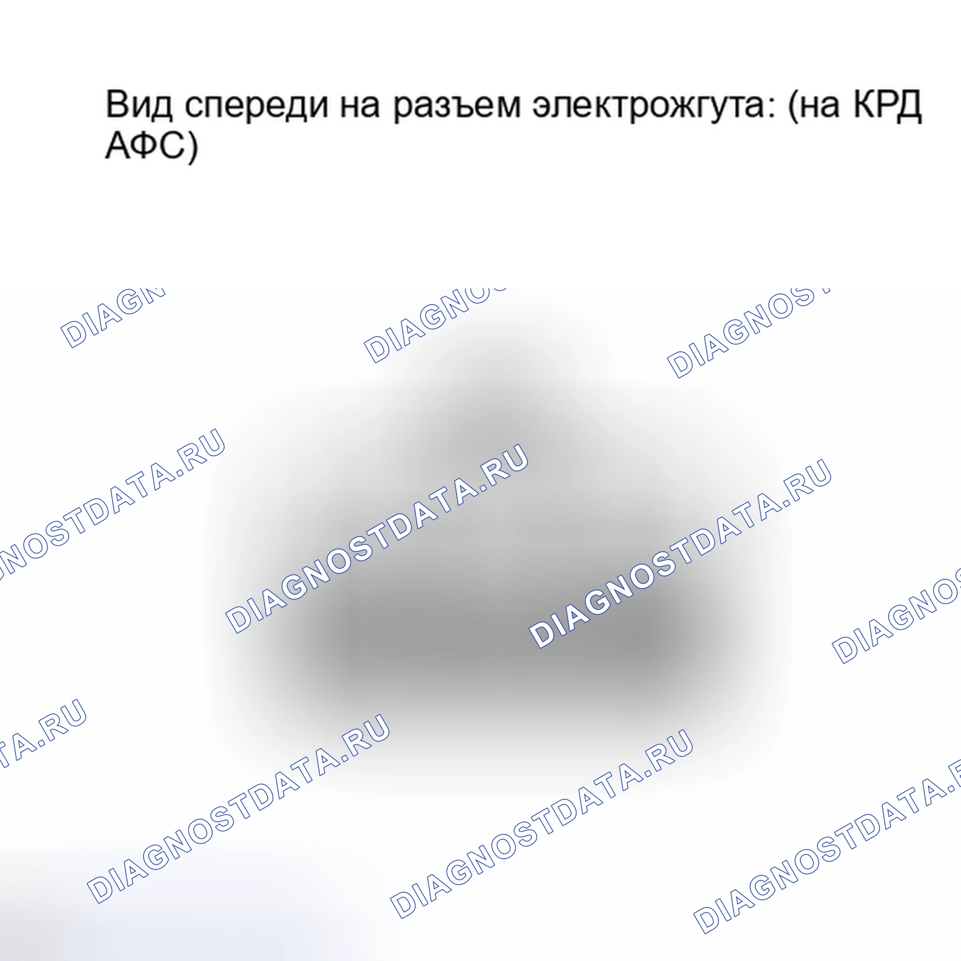Рис. 146. Lexus IS F I