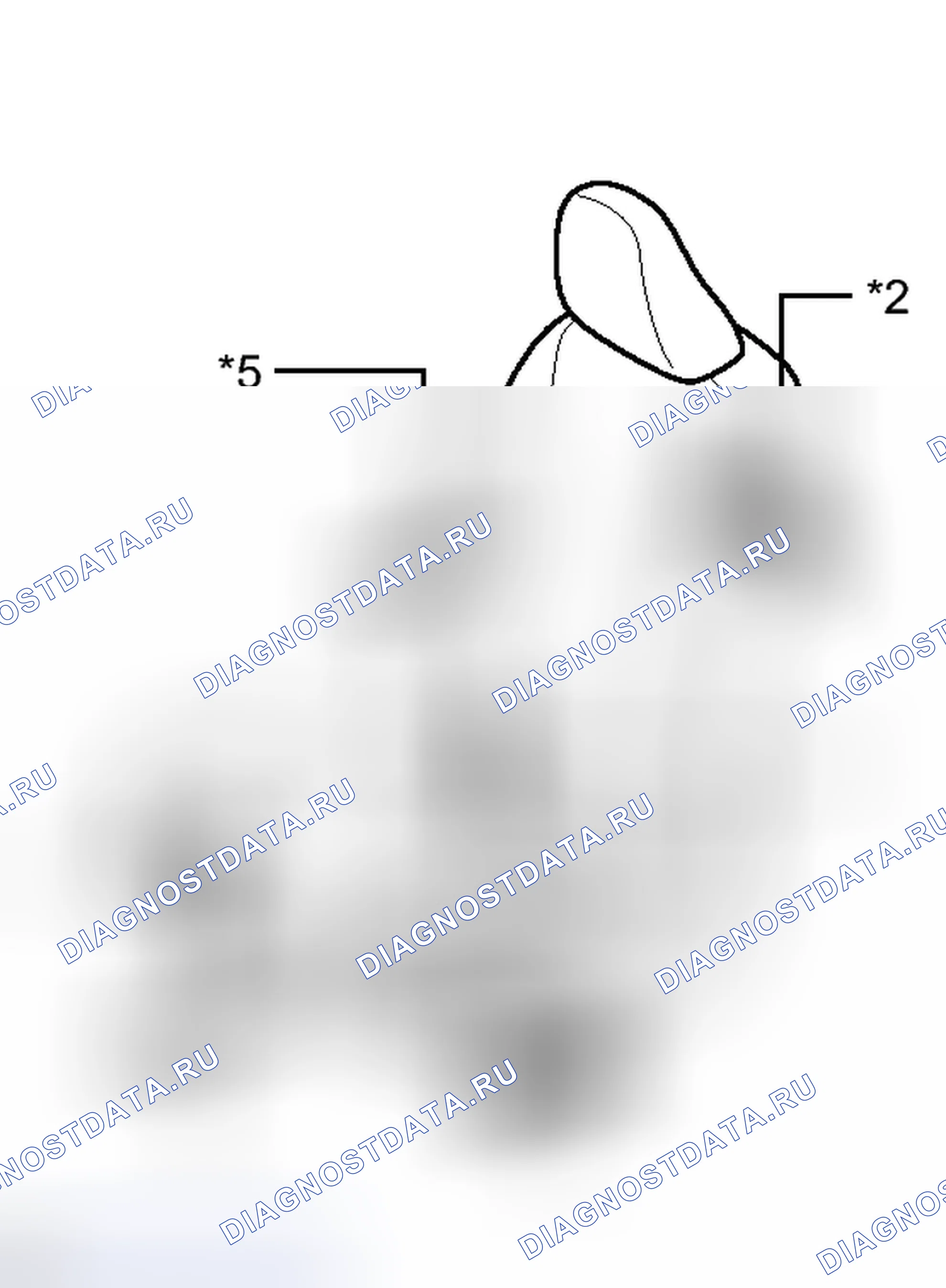 Рис. 1: ПРОВЕРКА РАБОТЫ [06 / 2012 -]. Haval H3 I