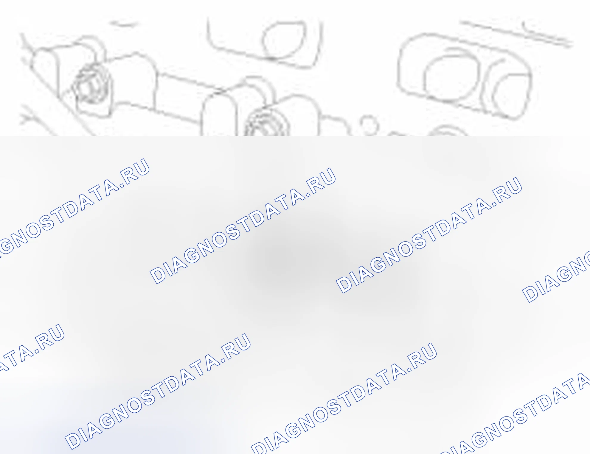 Рис. 208. Haval Beast (Shenshou) I