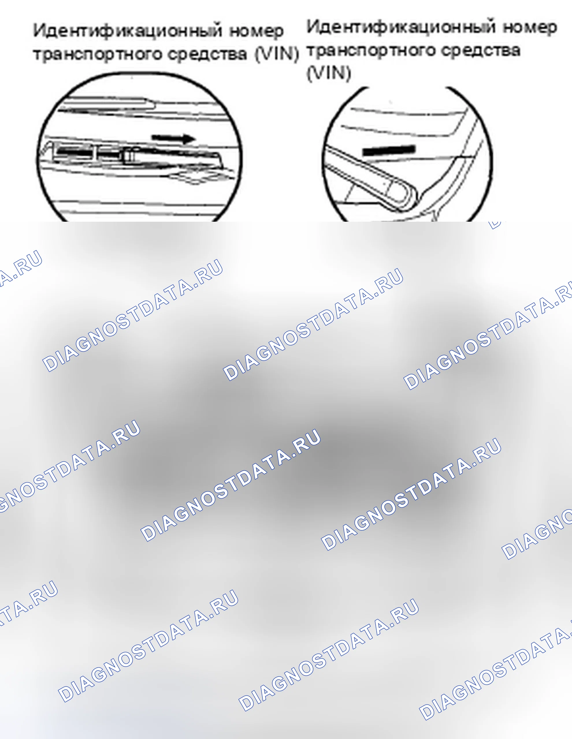 Рис. 30: Расположение идентификационных номеров. Honda Civic VIII
