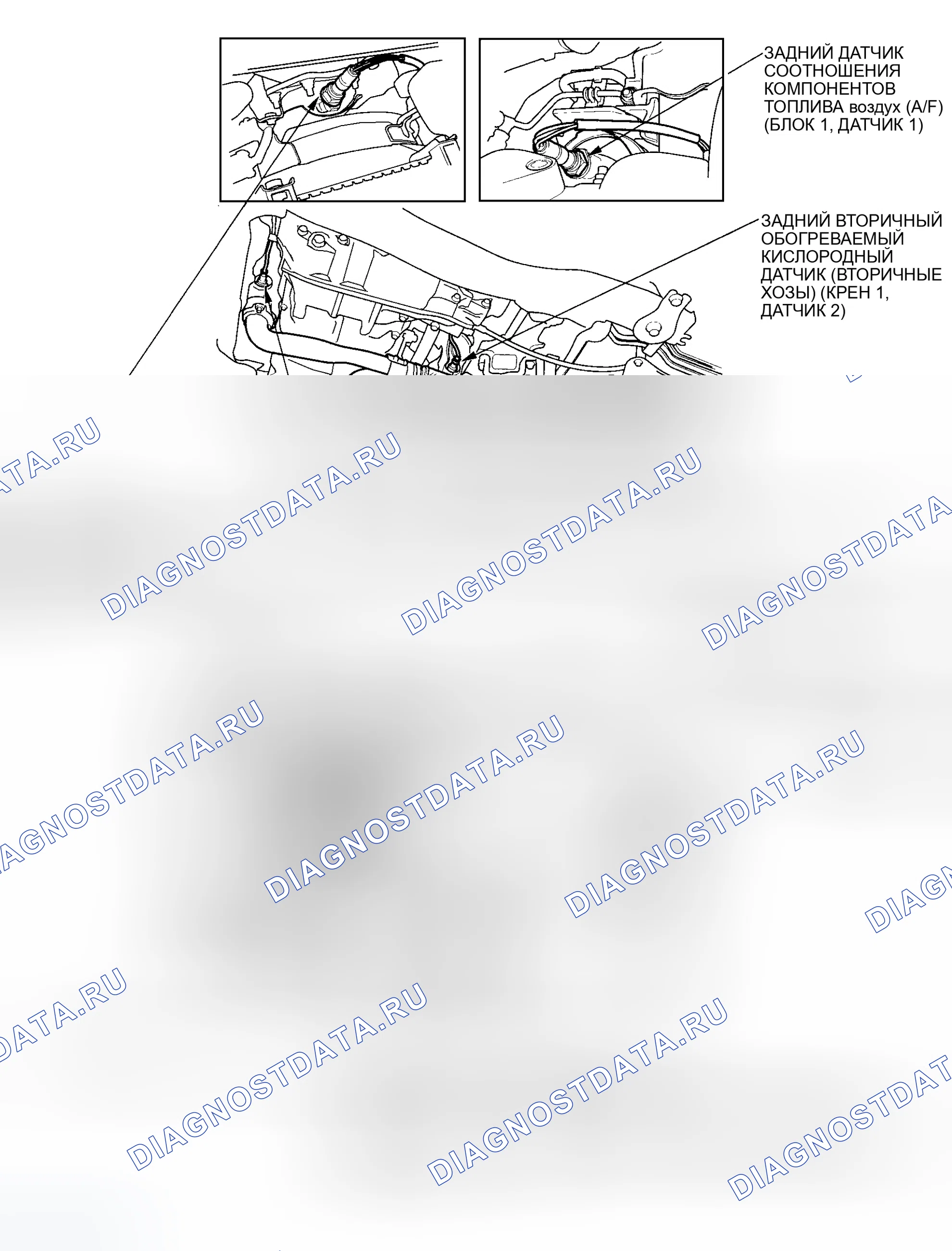 Рис. 485. Honda Accord VII рестайлинг