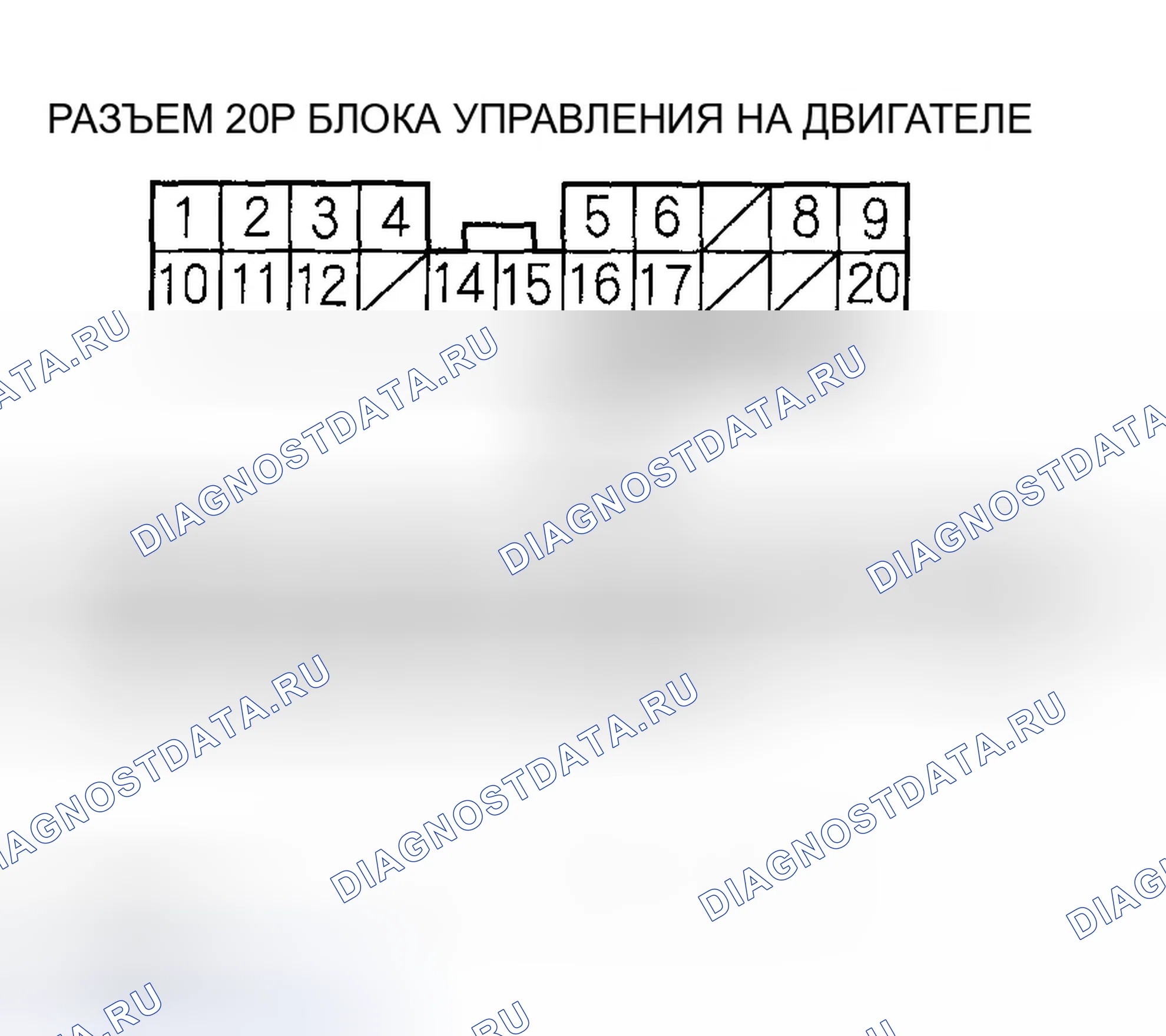 Рис. 599. Honda Accord VII рестайлинг