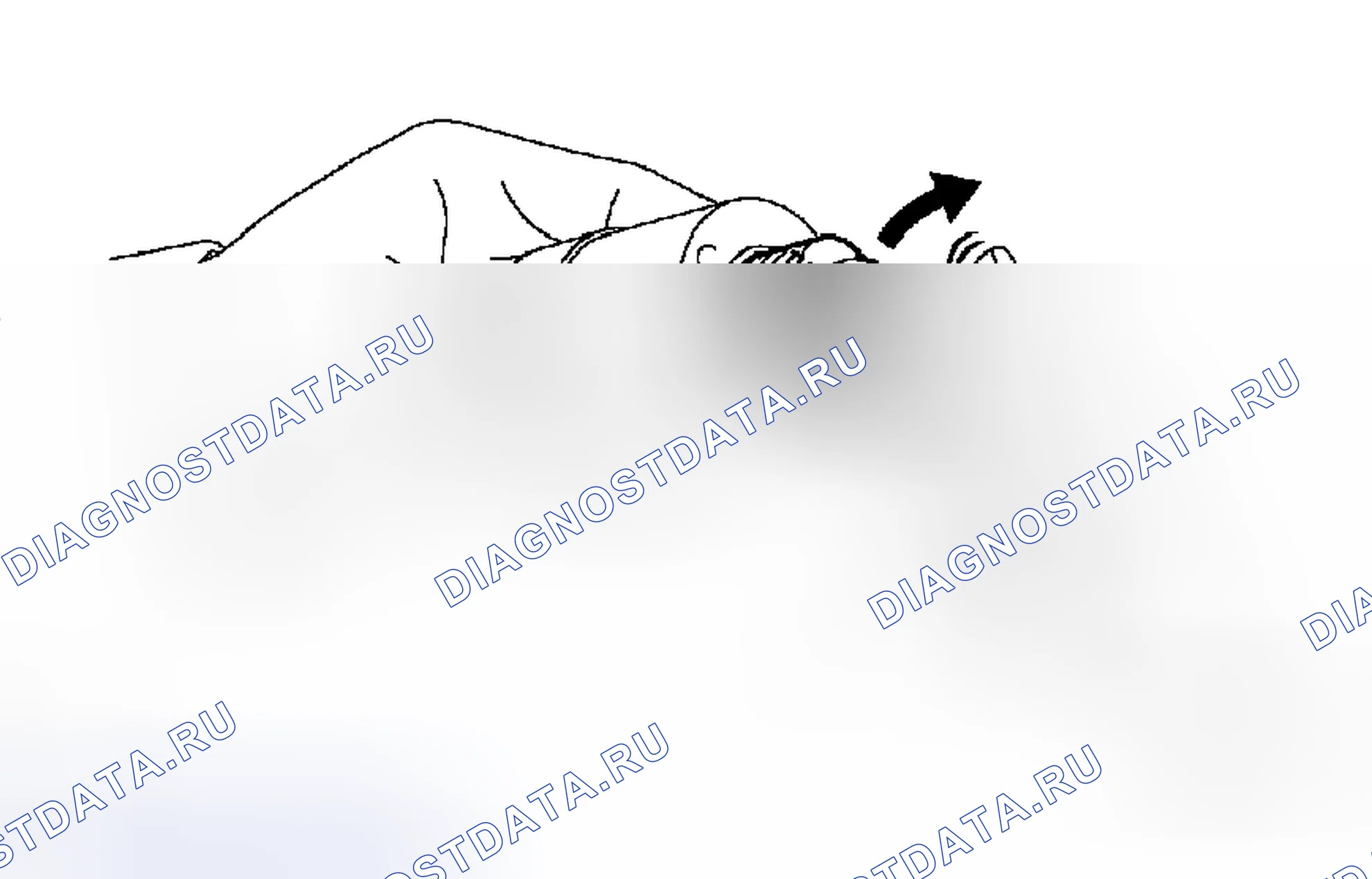 Рис. 101. Toyota RAV4 III