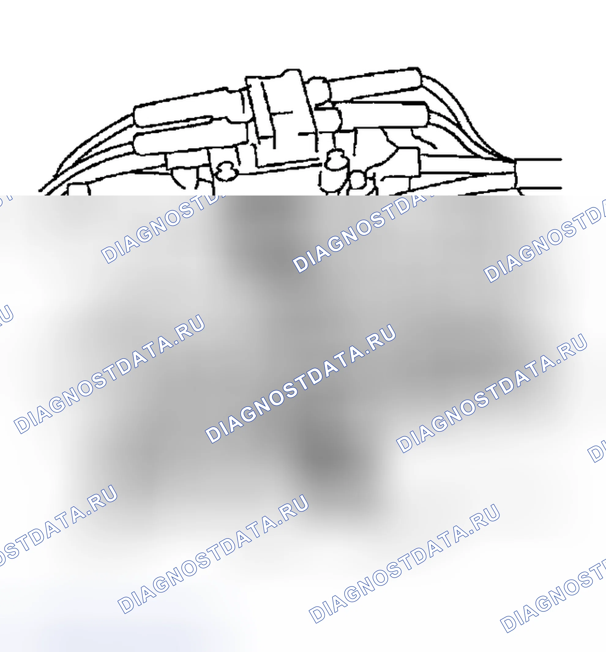 Рис. 193: ПЕРЕДНИЙ РЕМЕНЬ. Subaru Forester SG