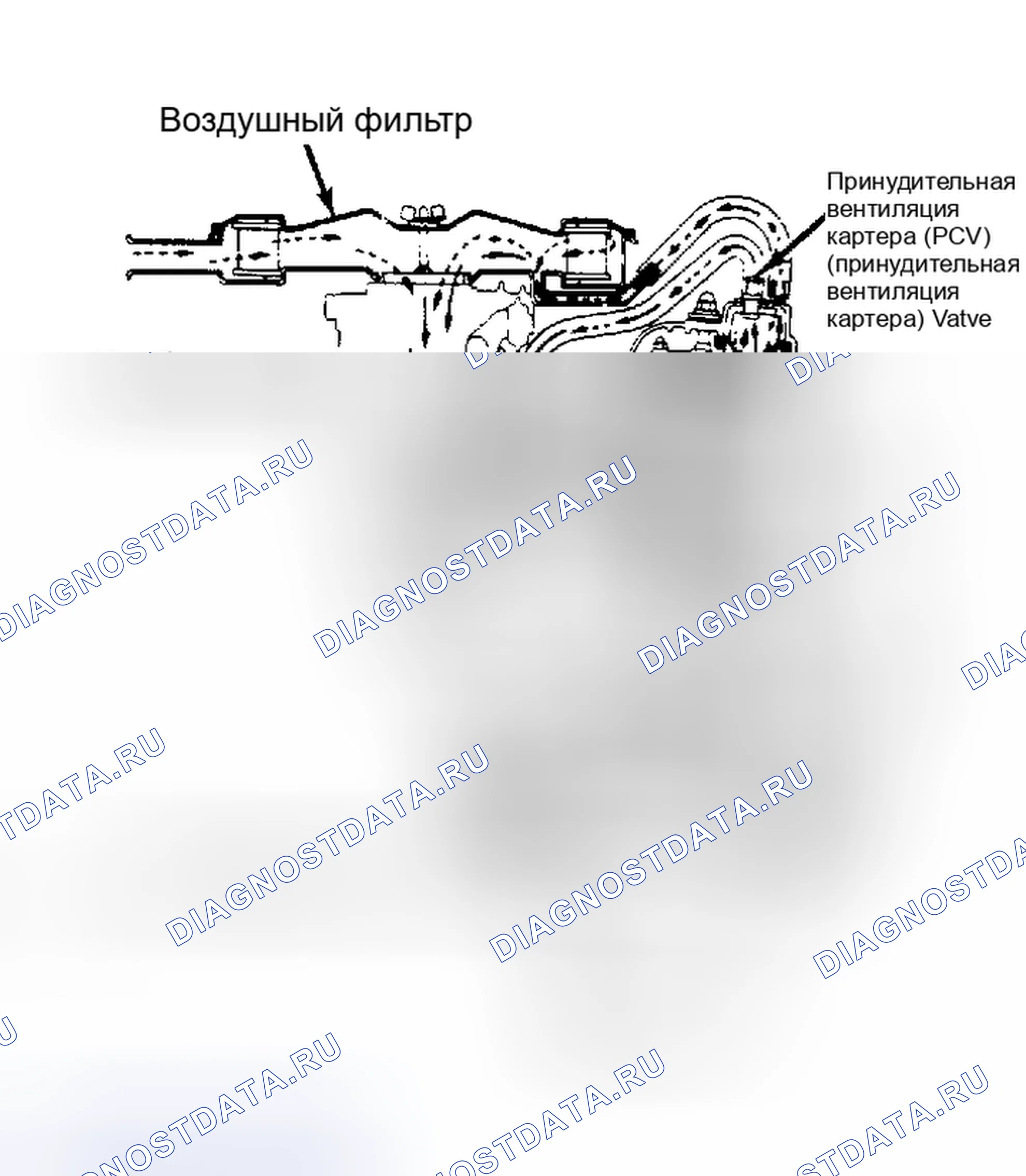 Рис. 7: Система вентиляции картера (Tercel и FWD Corolla). Toyota 4Runner I