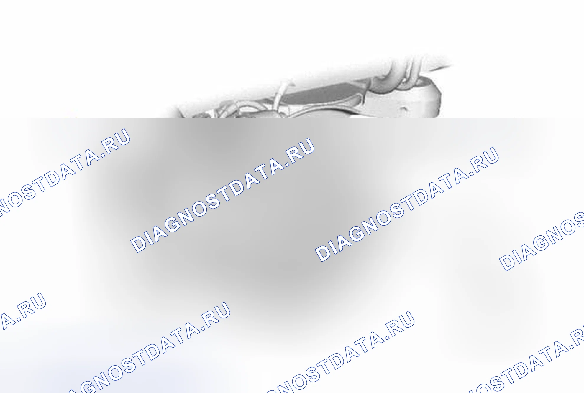 Рис. 71: ИЛЛЮСТРАЦИЯ. Toyota Highlander III