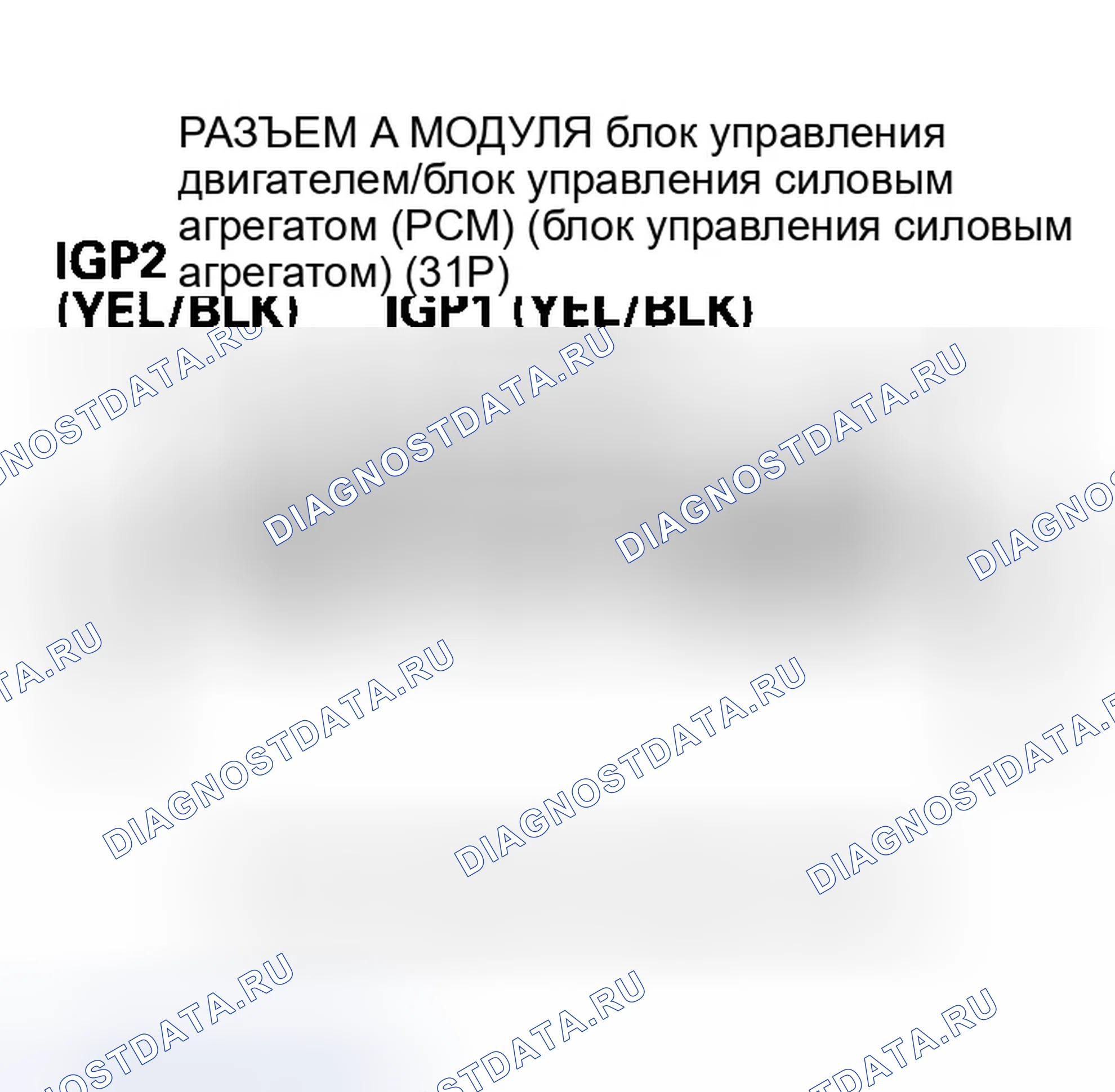 Рис. 145. Honda Element YH2