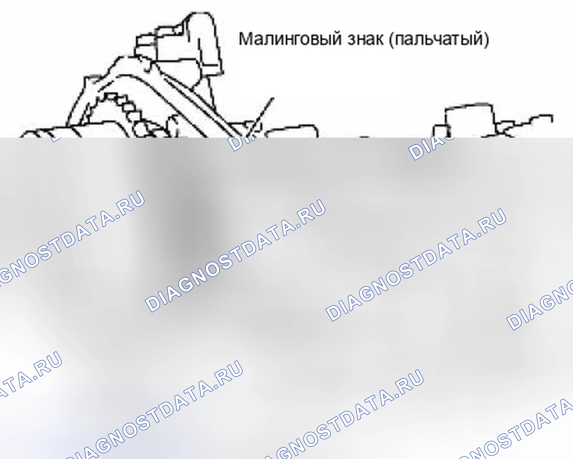 Рис. 232. Suzuki Equator I