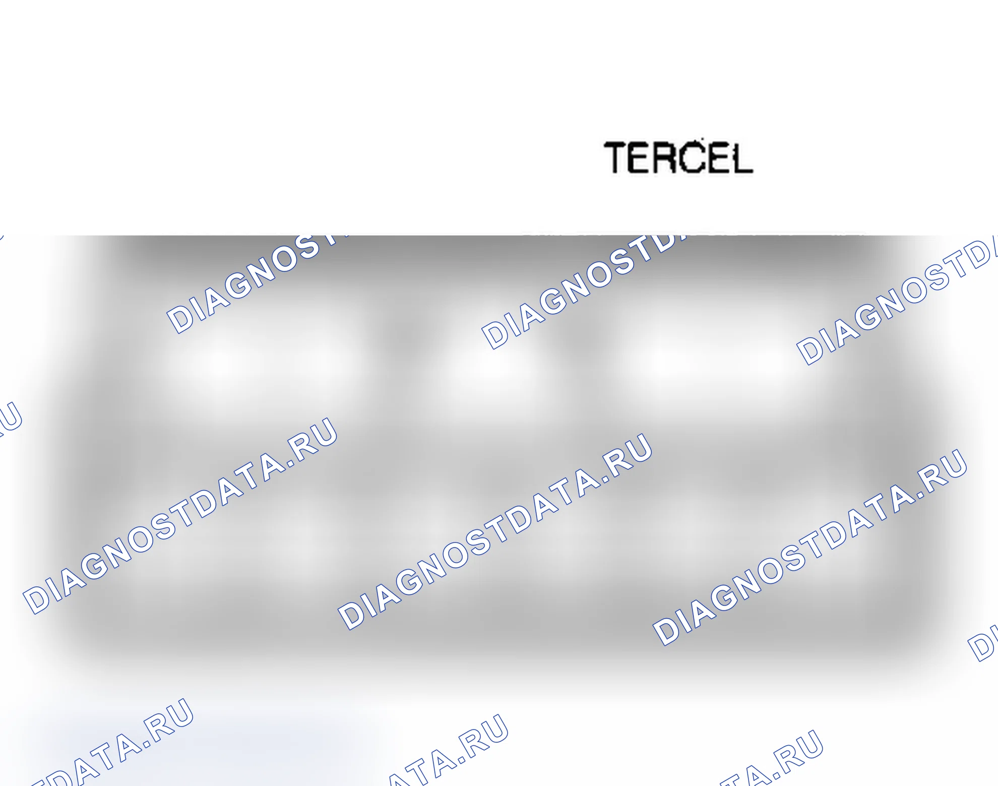 Рис. 4. Toyota Tercel L30