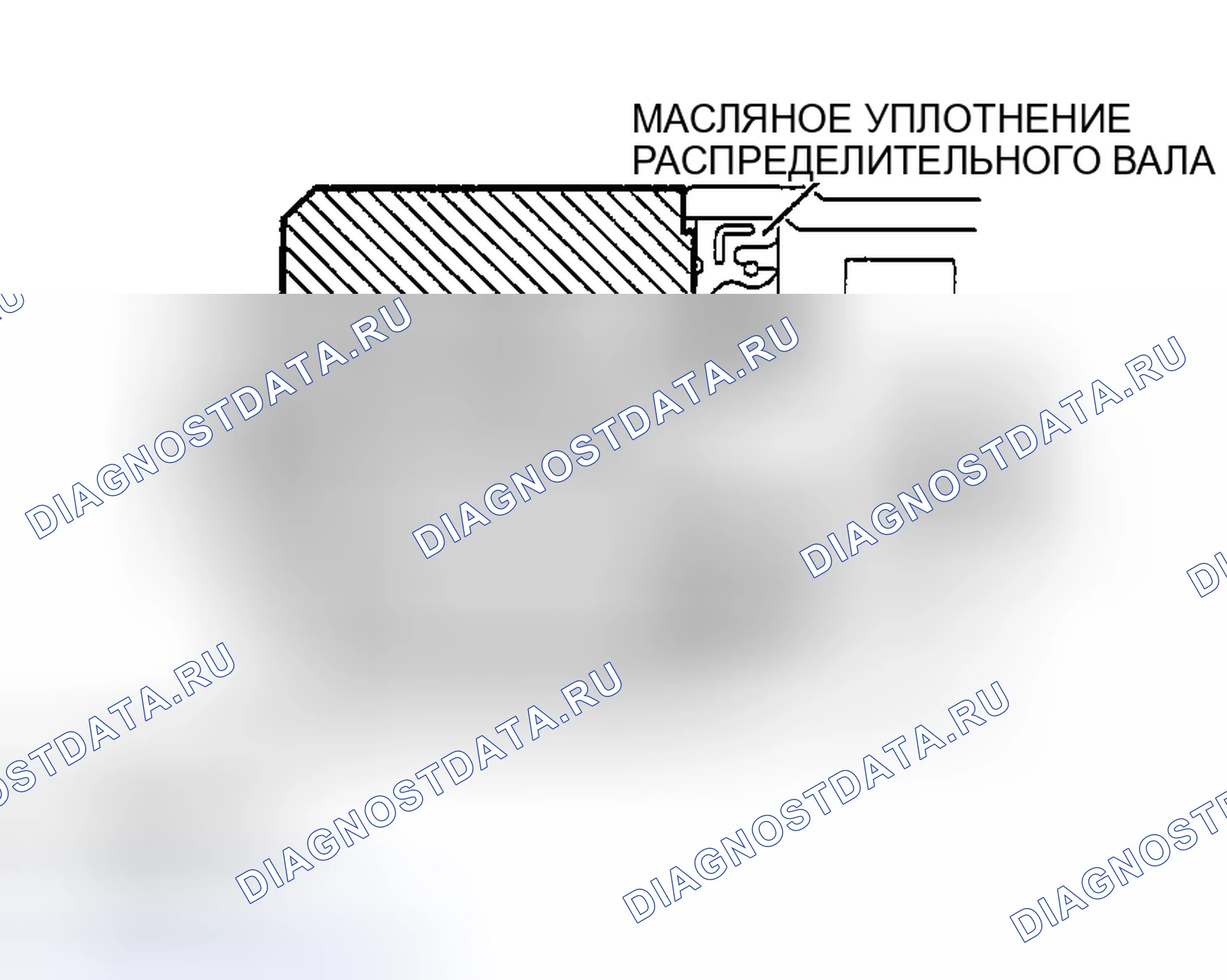 Рис. 498: > > МОНТАЖ МАСЛЯНОГО УПЛОТНЕНИЯ РАСПРЕДЕЛИТЕЛЬНОГО ВАЛА < <. Honda Edix I