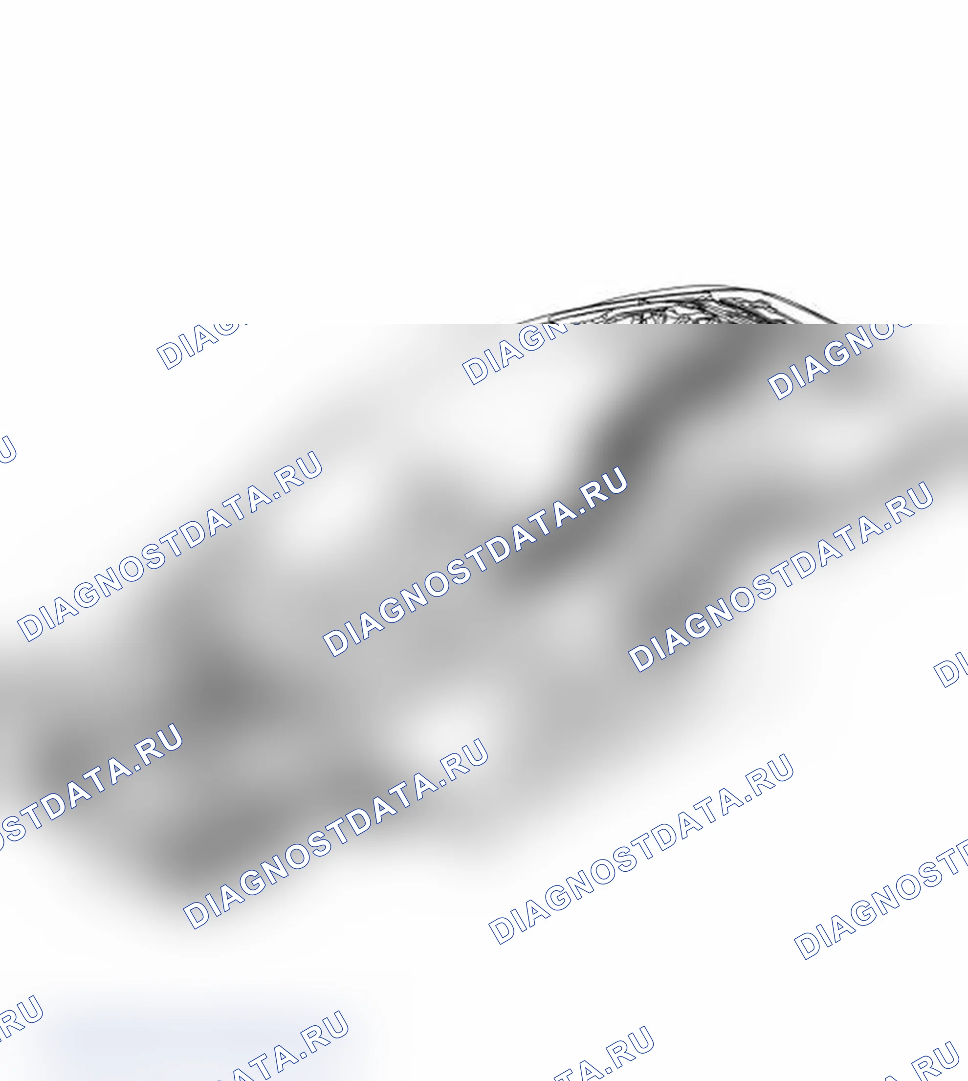 Рис. 647: Индивидуальные заготовки. Porsche 911 GT3 997