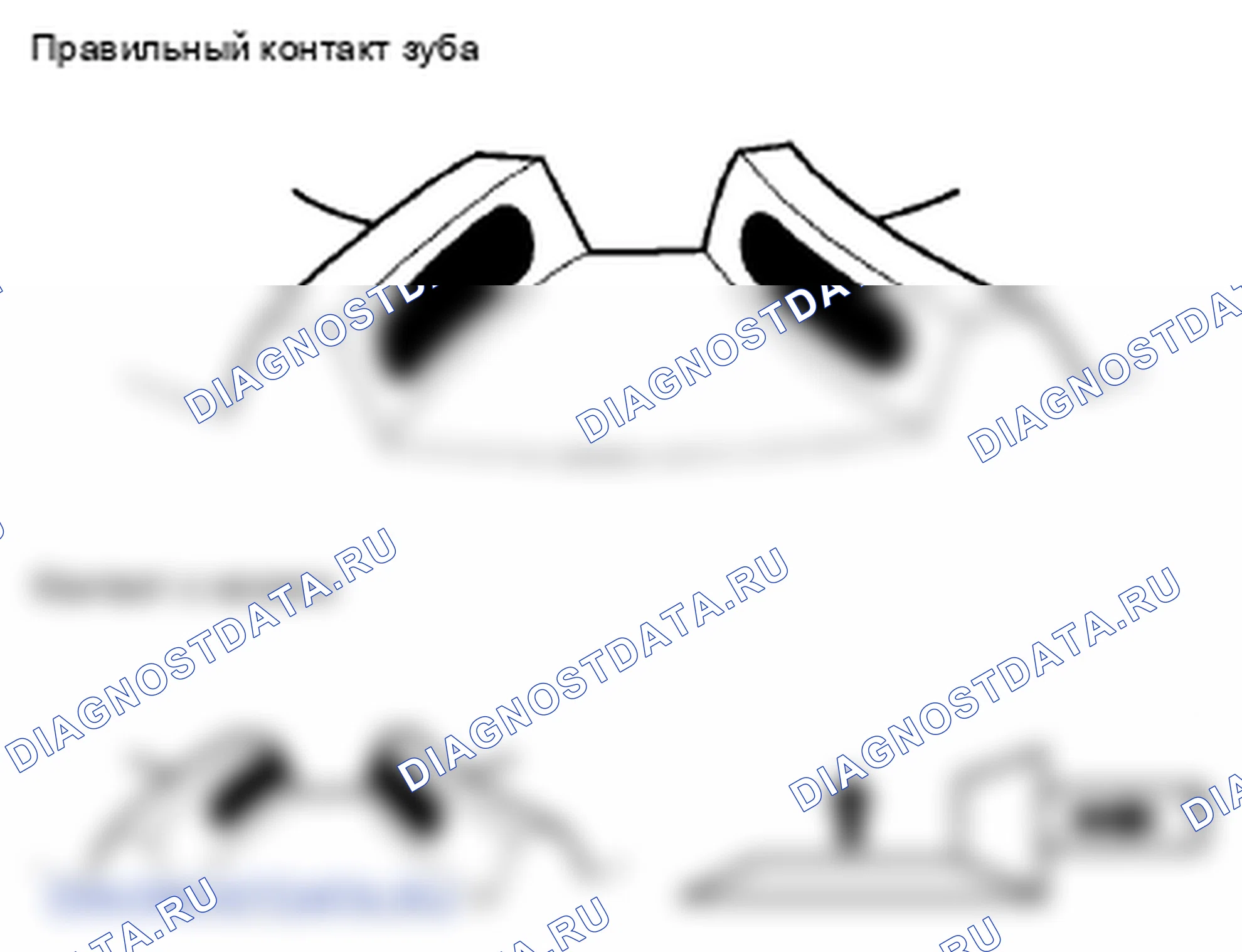 Рис. 48. Honda S2000 AP2 рестайлинг
