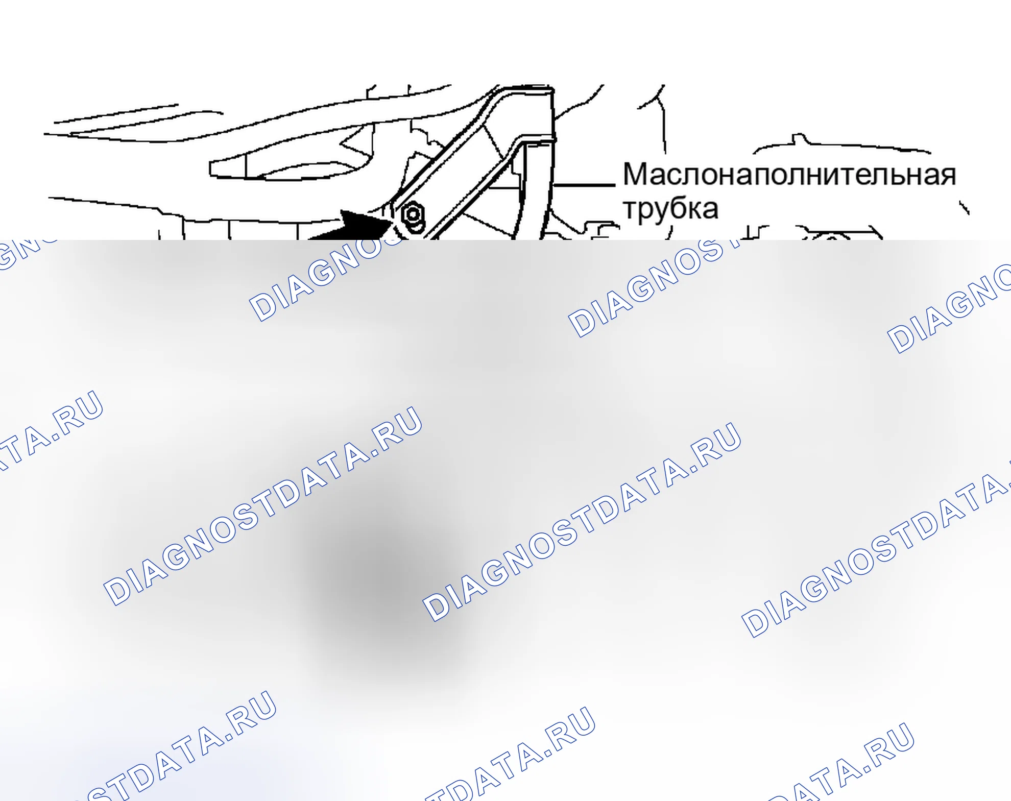 Рис. 238. Scion xB I