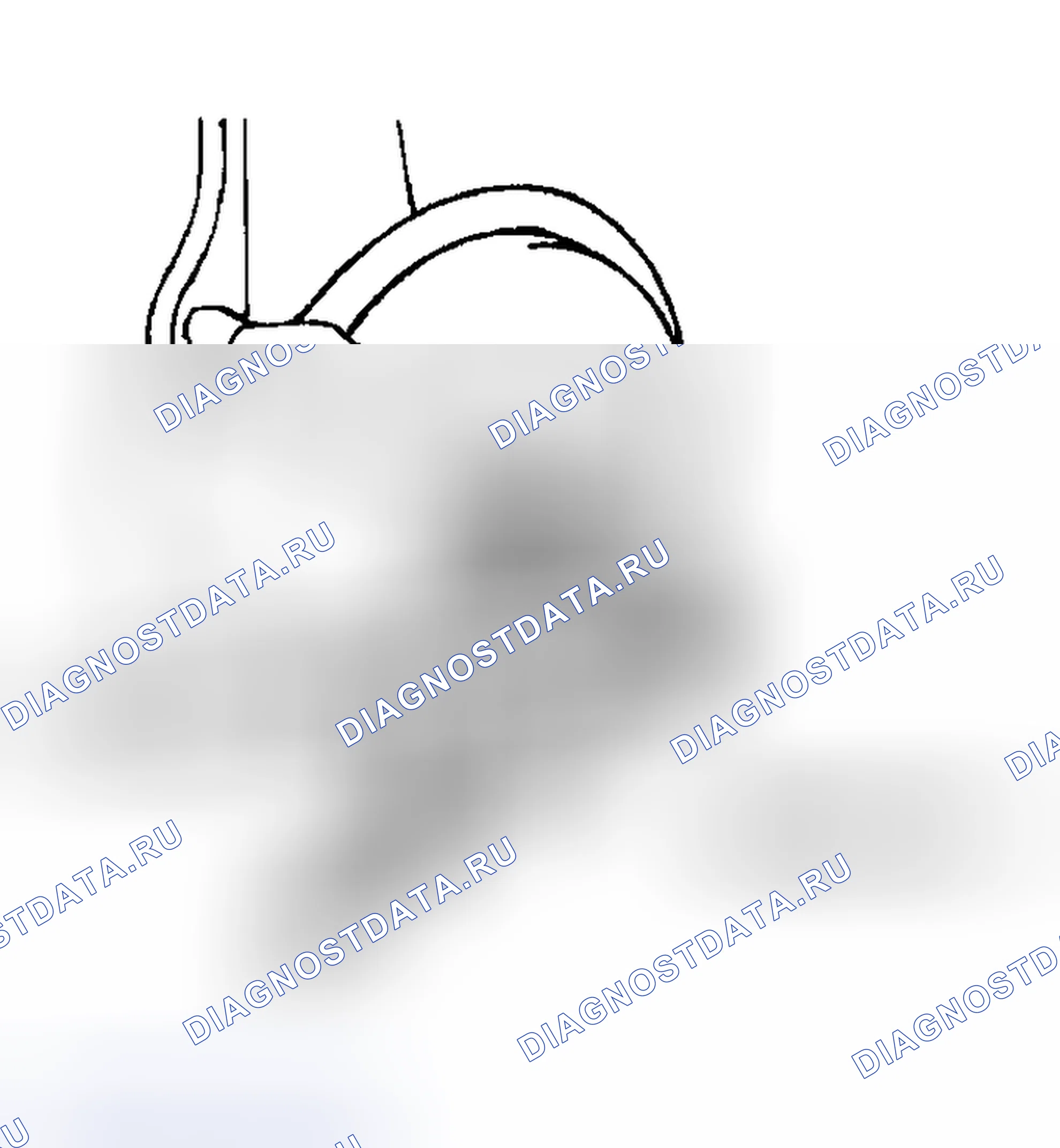 Рис. 220. Mazda MX-5 NA