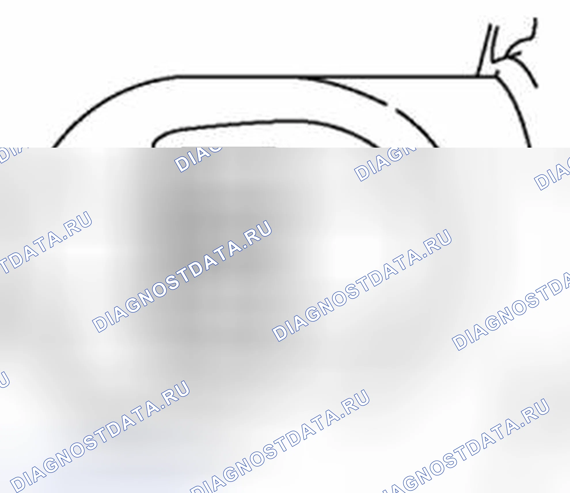 Рис. 6. Audi Q8 I