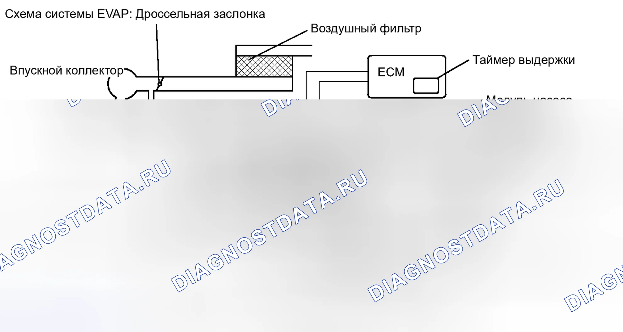 Рис. 167. Honda Accord IV