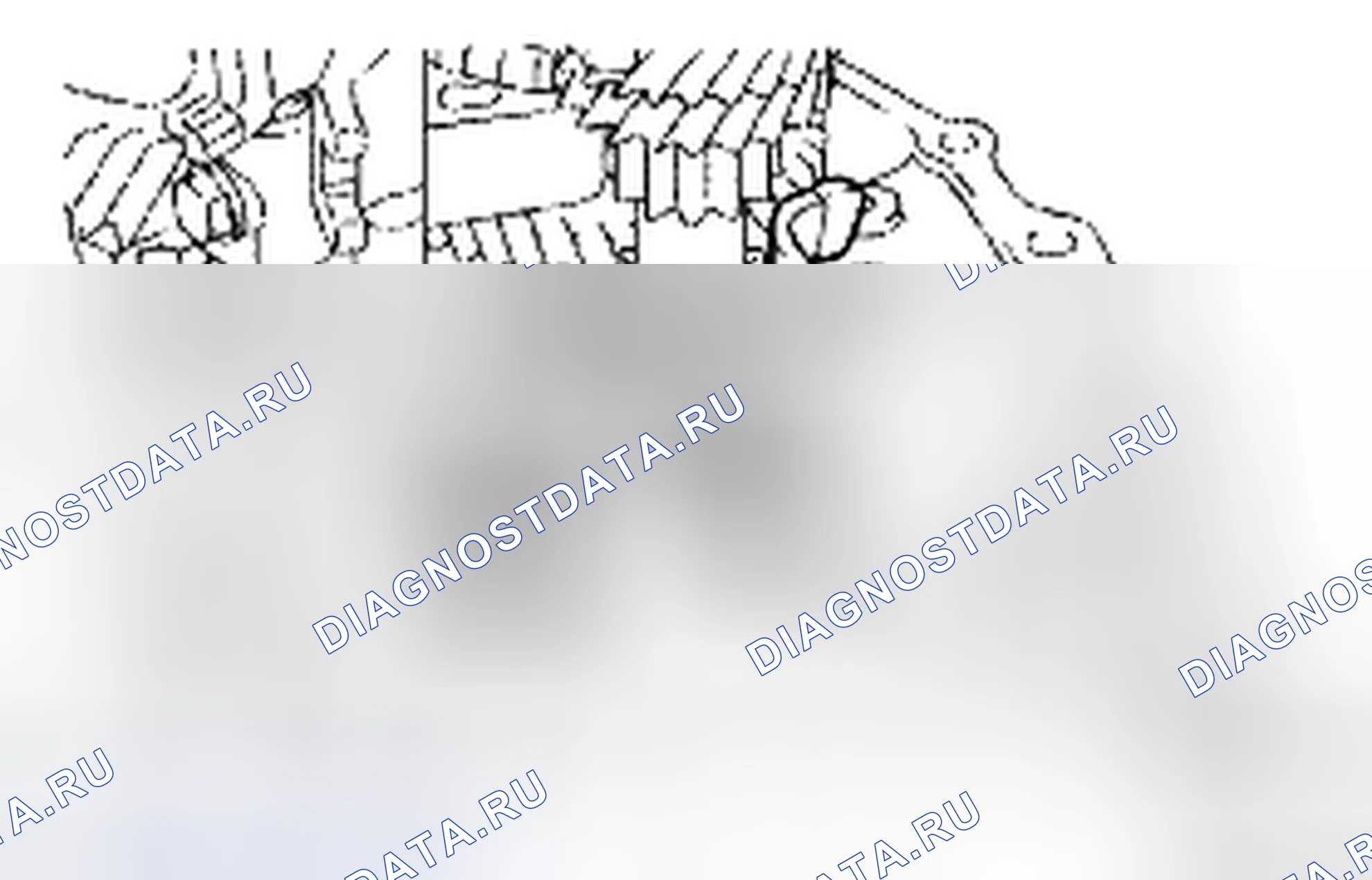 Рис. 385. Toyota Corolla X