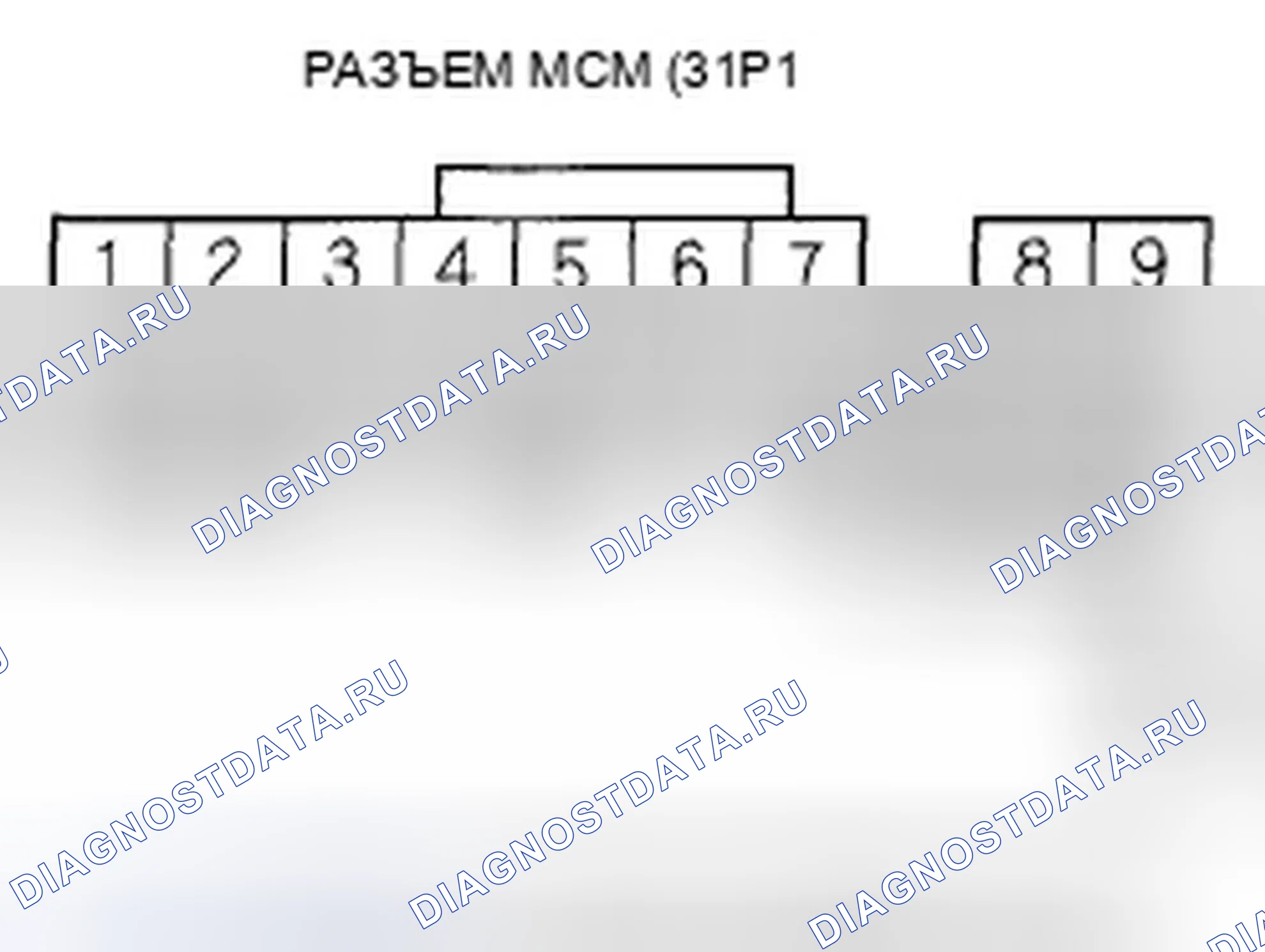 Рис. 396. Honda Accord VII рестайлинг