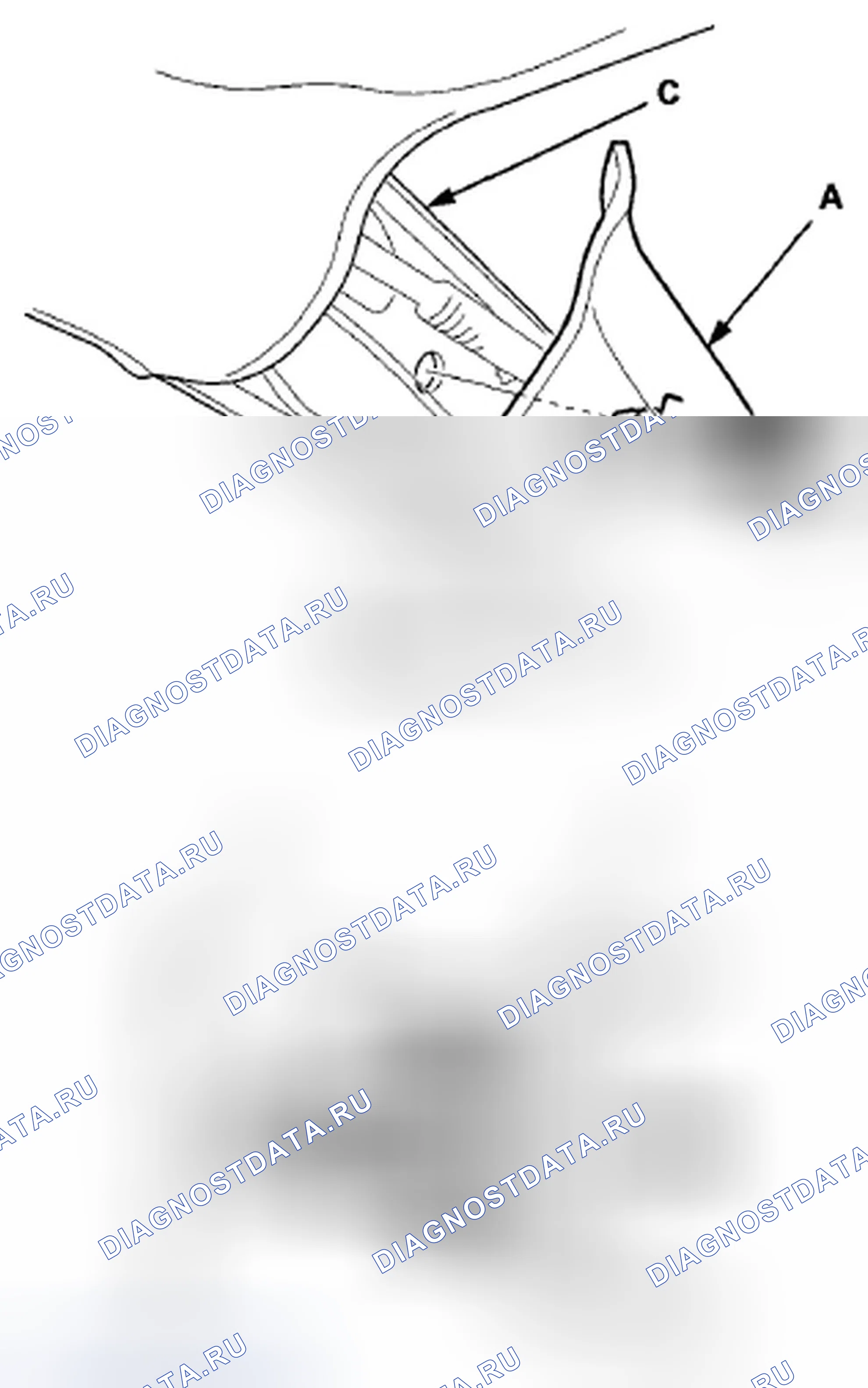 Рис. 465. Honda Accord VIII рестайлинг