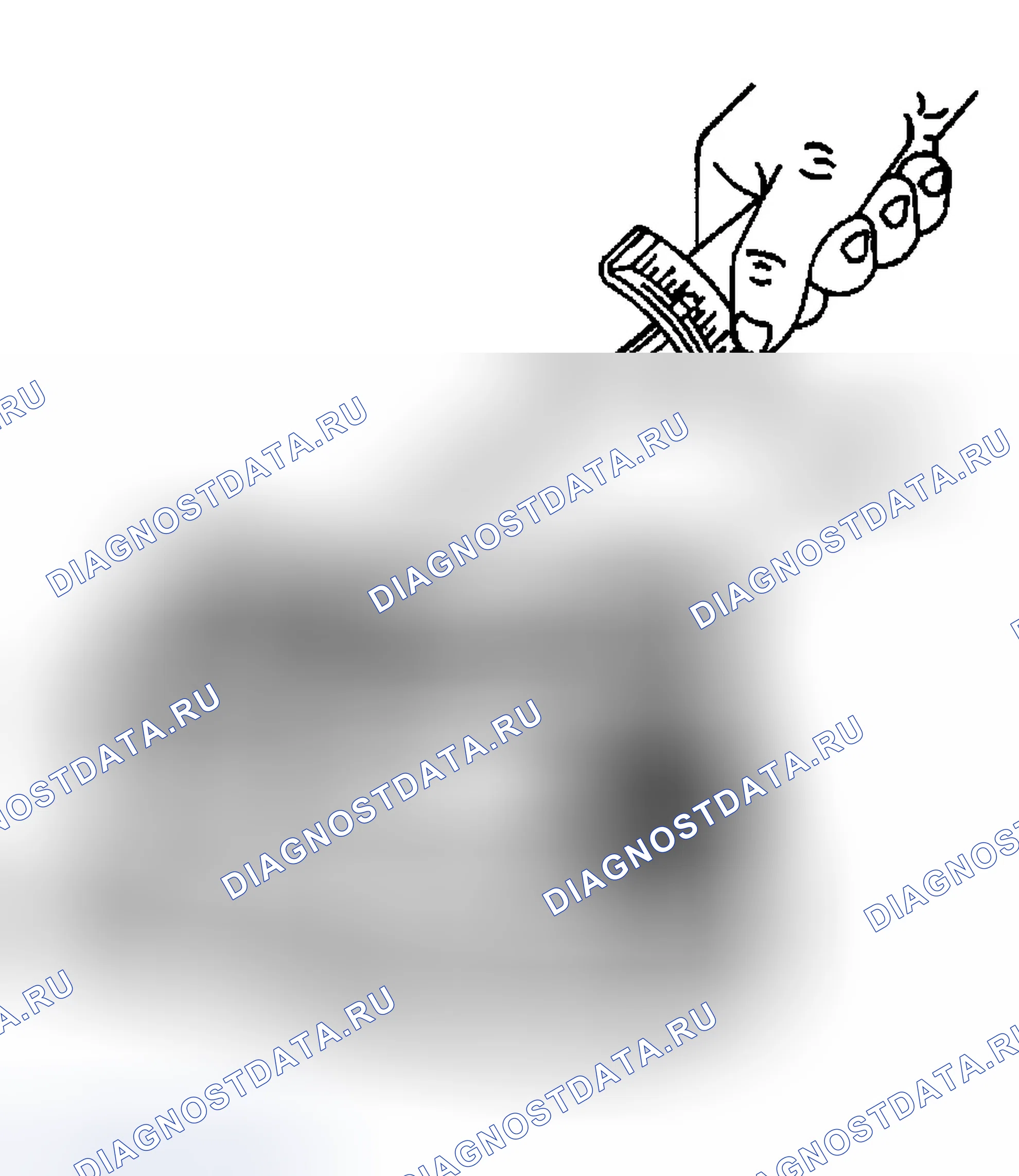Рис. 127. Chevrolet Chevy Express H2500 
