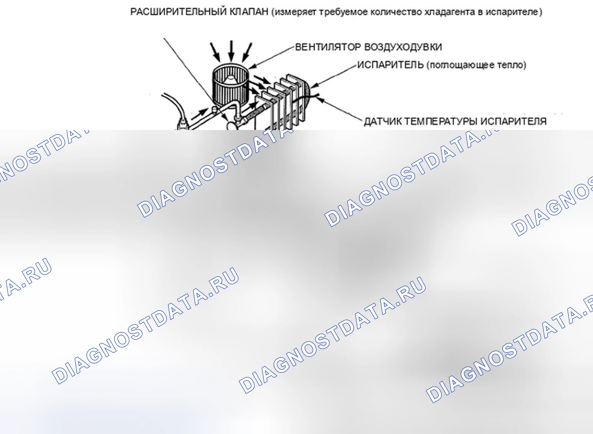 Рис. 6: Описание системы. Honda Civic VIII рестайлинг