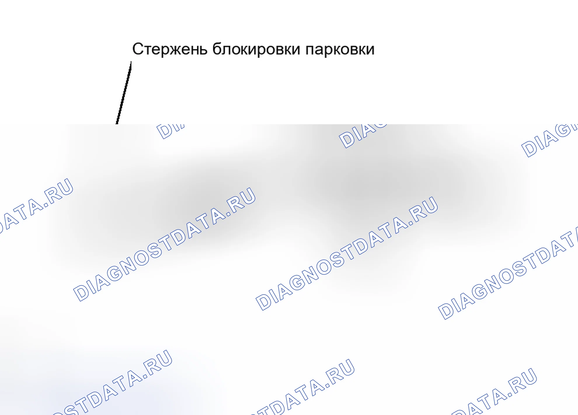 Рис. 2021. Toyota RAV4 III