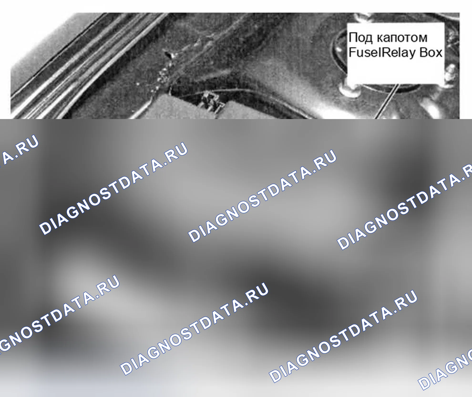 Рис. 5: ПОДКАПОТНАЯ КОРОБКА ПРЕДОХРАНИТЕЛЕЙ/РЕЛЕ. Honda Civic VII