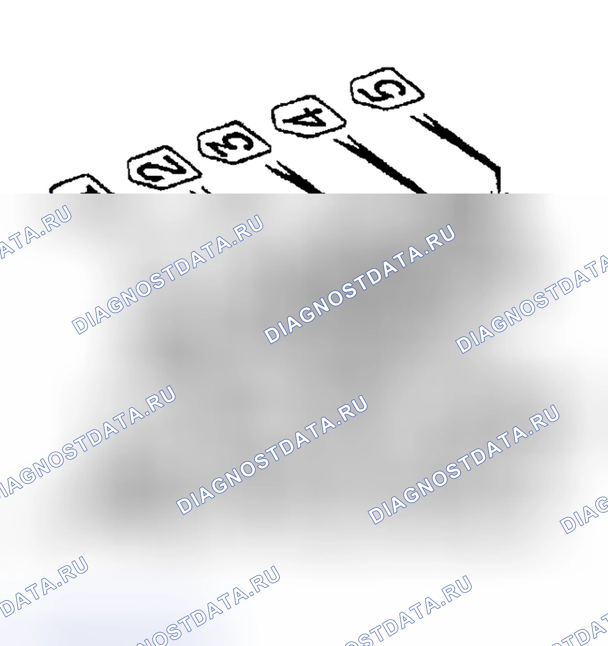 Рис. 60. Toyota Sequoia I