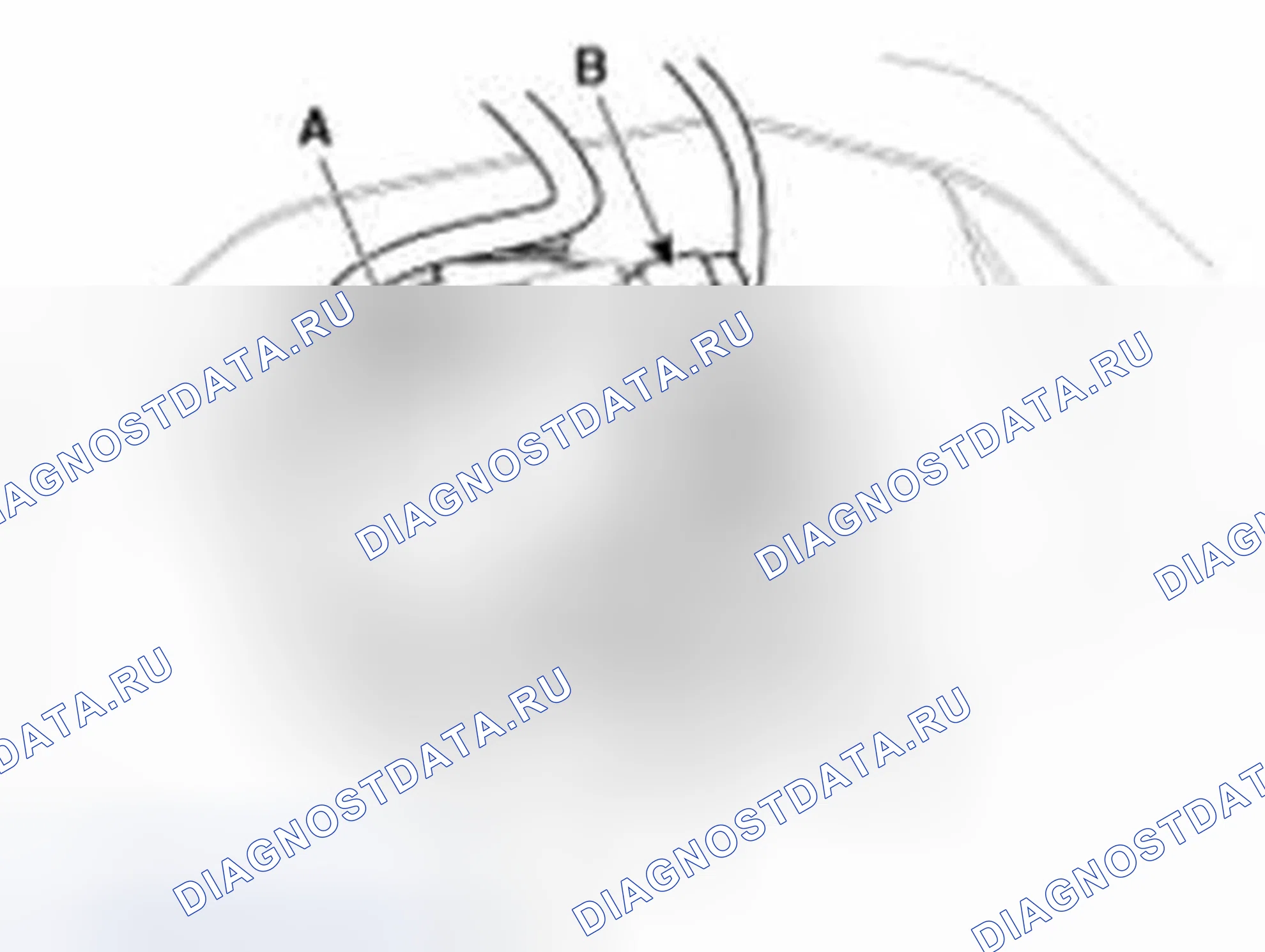 Рис. 100. Hyundai Sonata VI