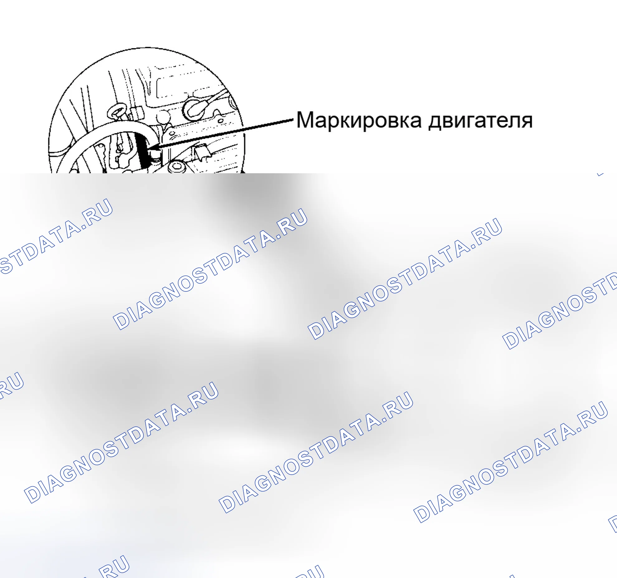 Рис. 2. Honda CR-V I
